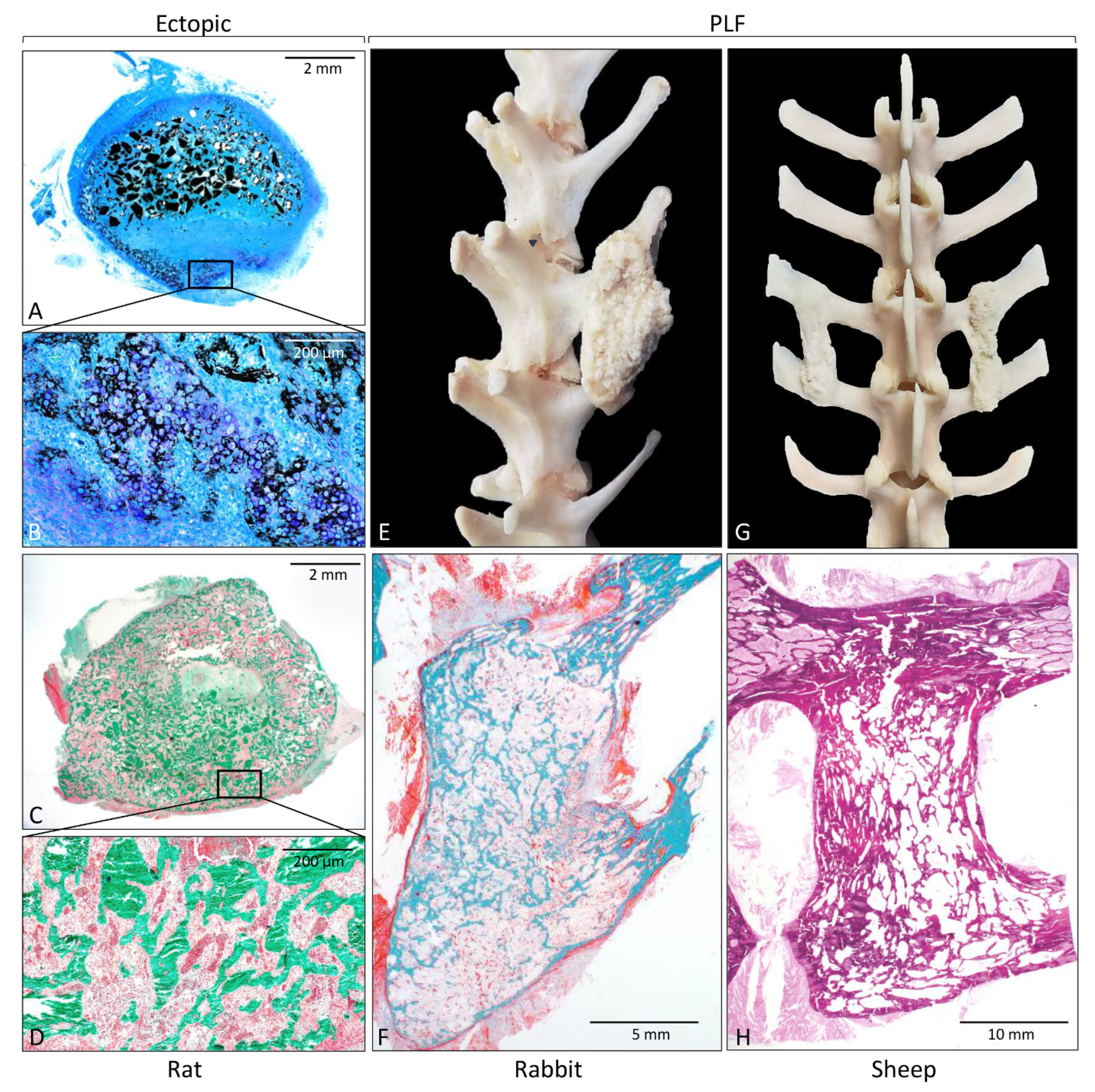Materials 14 03513 g002 Materials 14 03513 g002