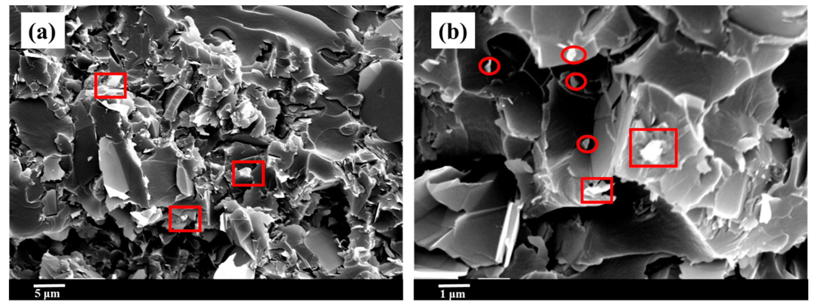 Materials 14 03521 g002