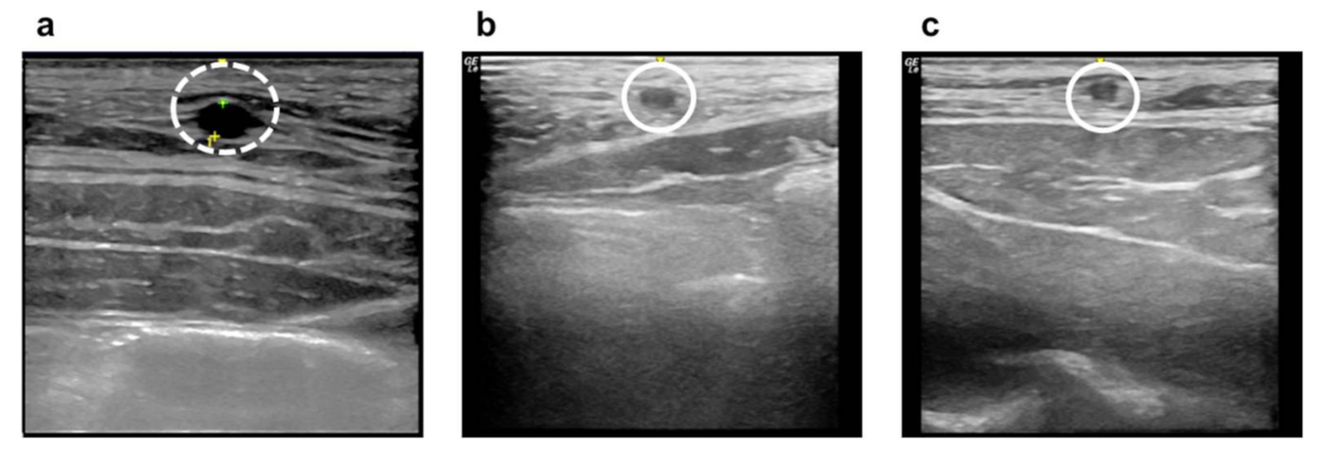 Materials 14 03527 g004