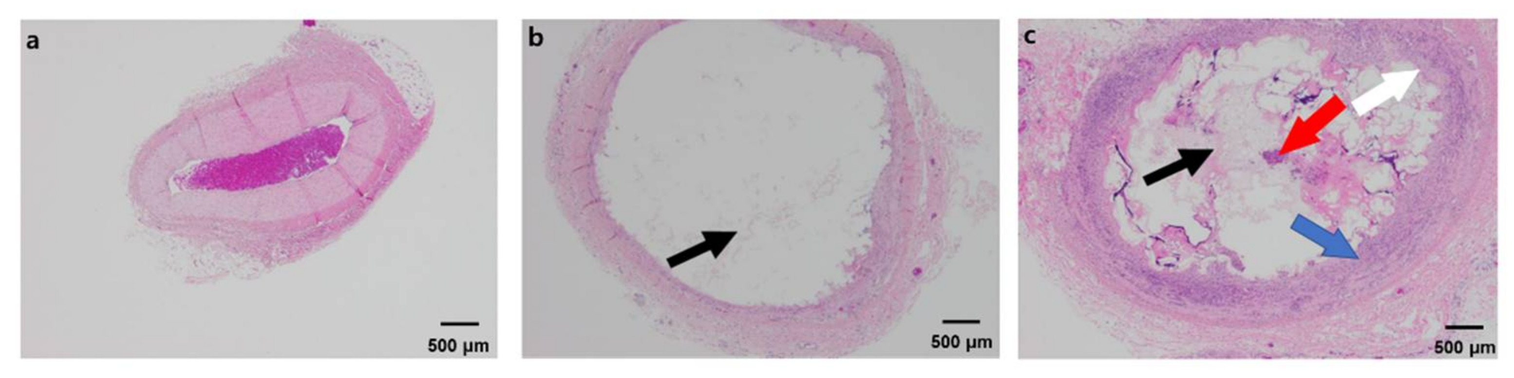 Materials 14 03527 g006