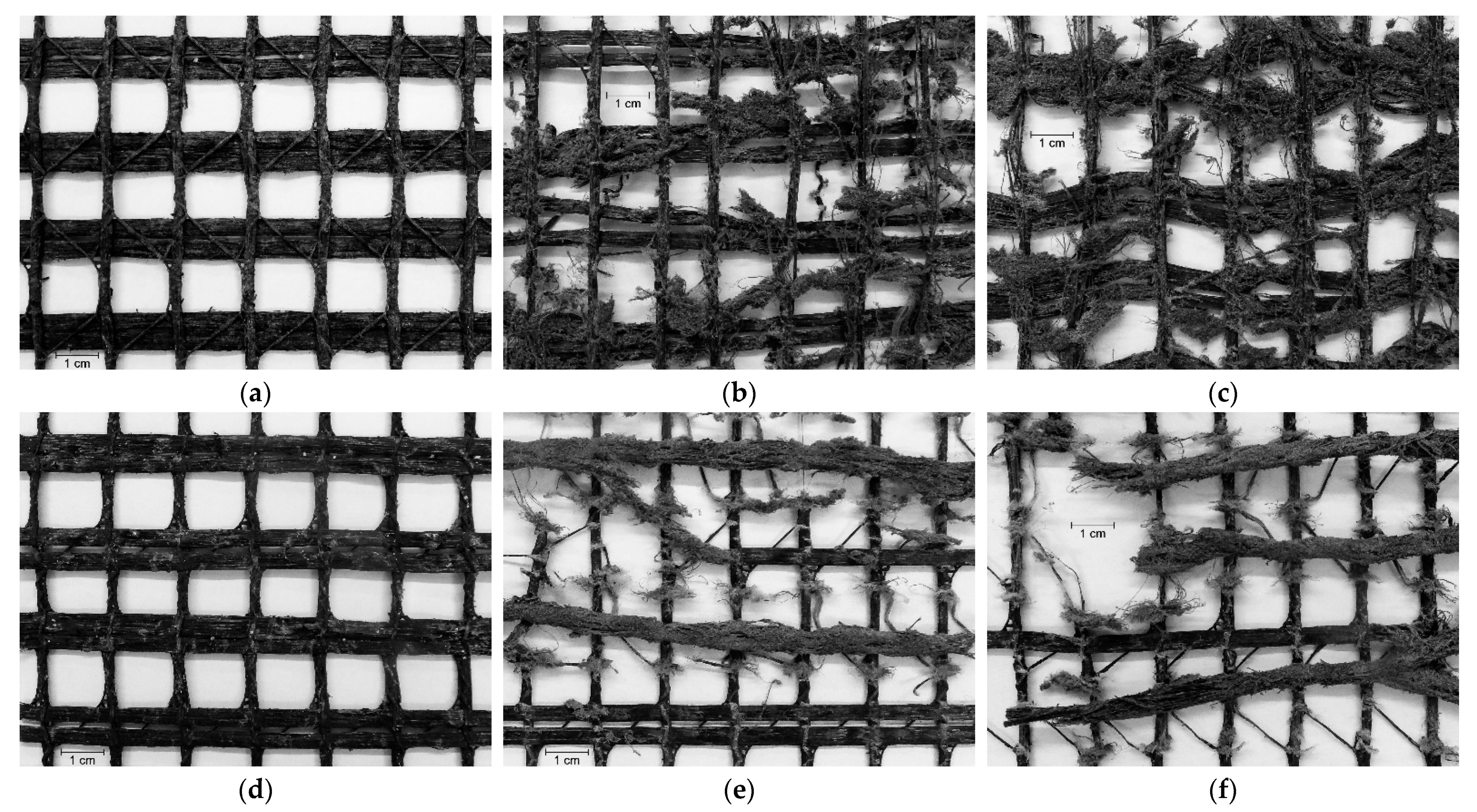 Materials 14 03544 g008