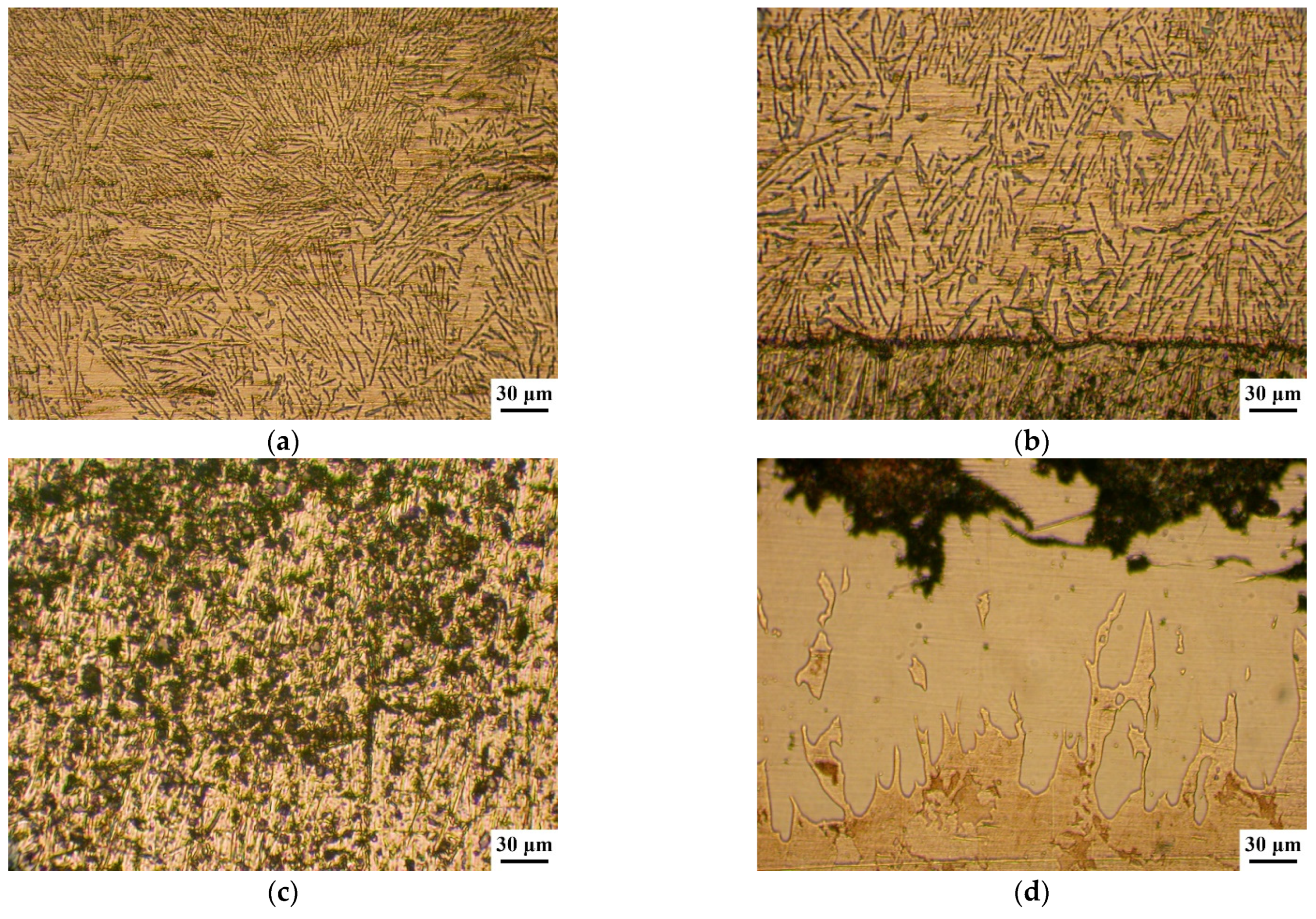 Materials 14 03555 g003