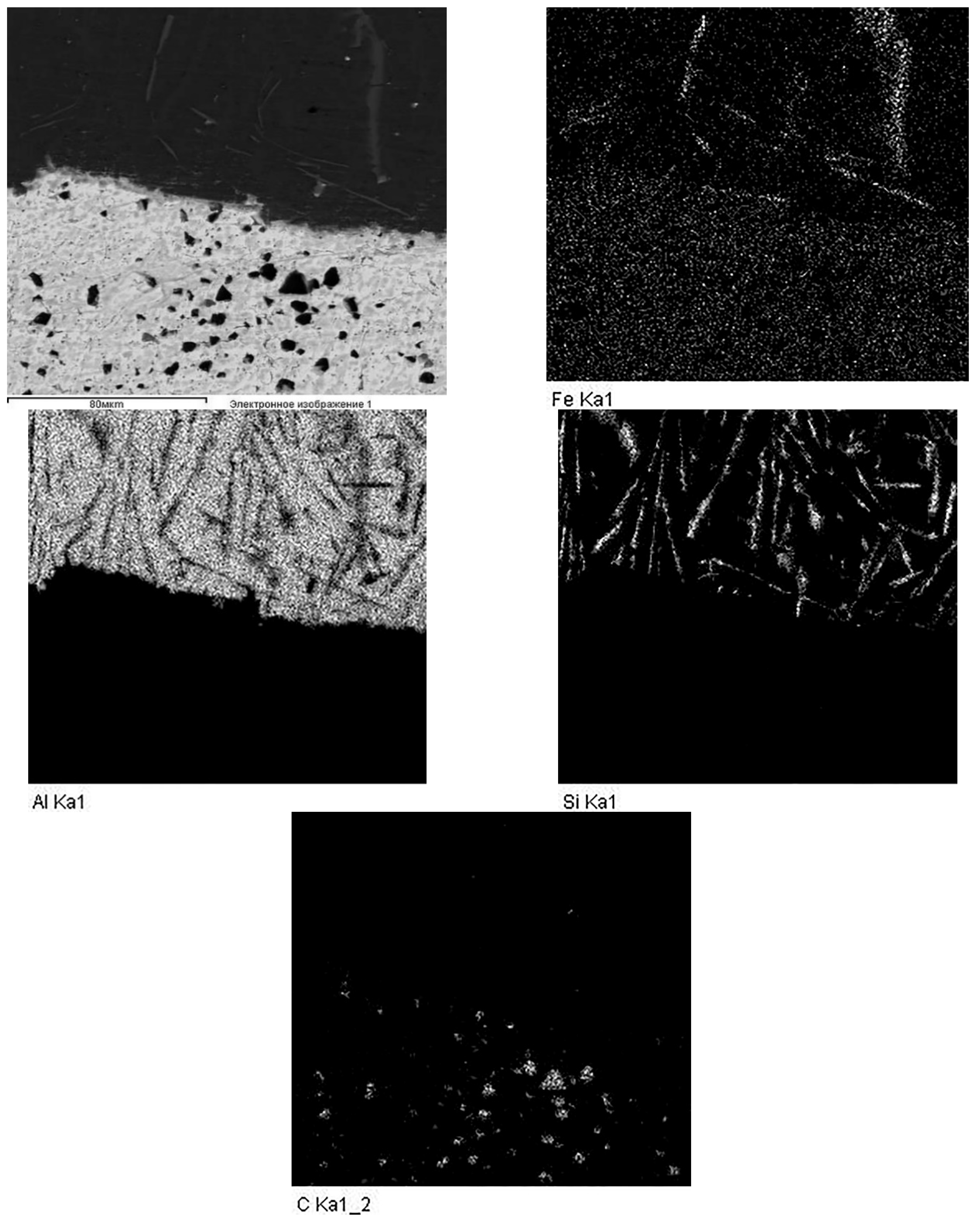 Materials 14 03555 g004