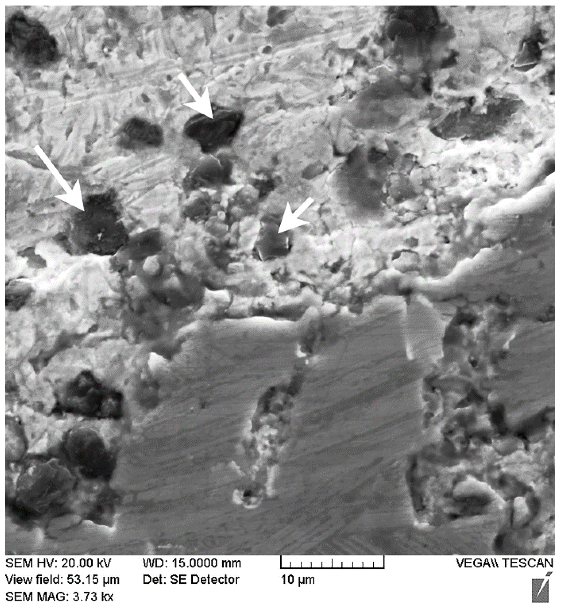 Materials 14 03555 g005