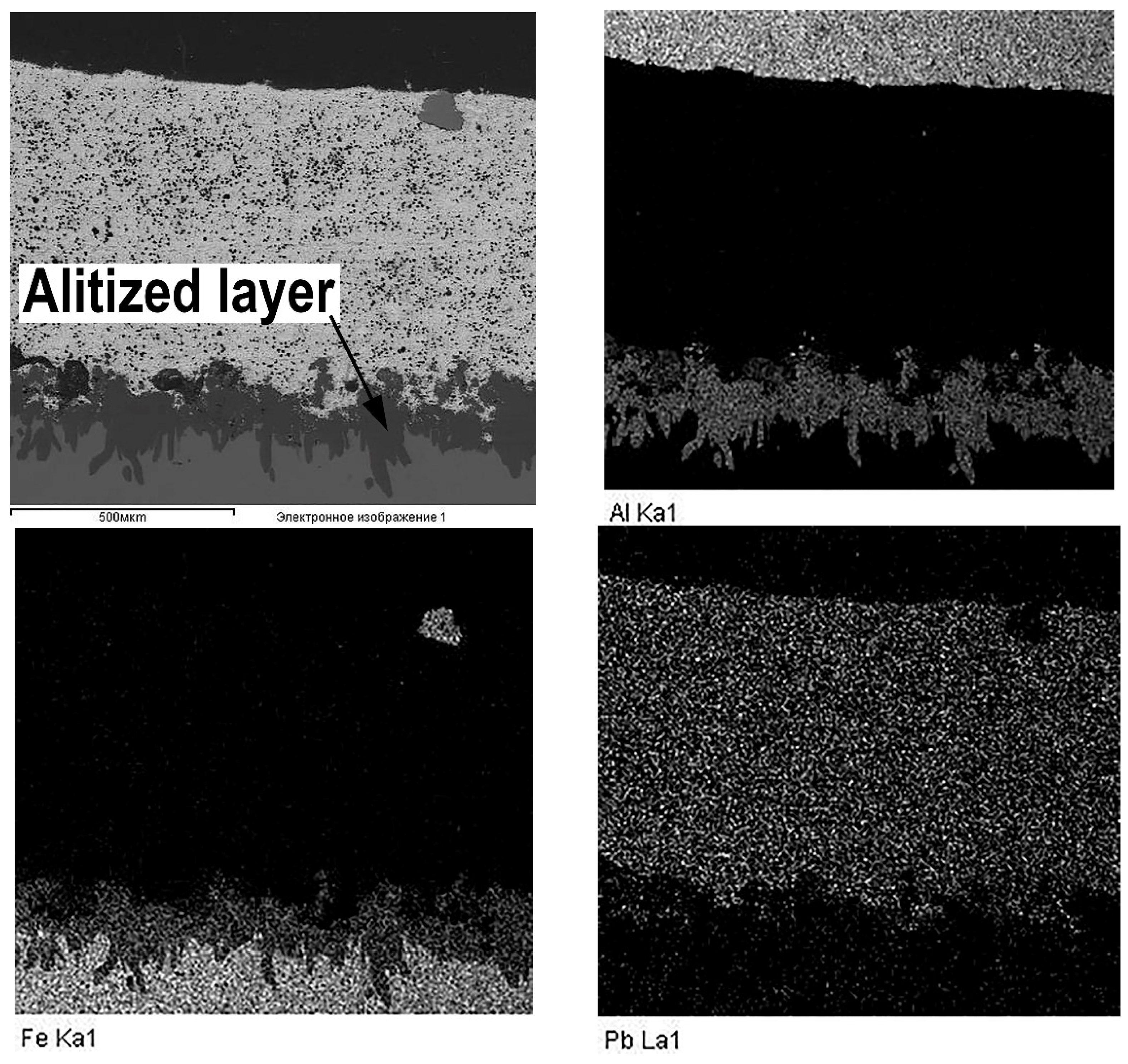 Materials 14 03555 g006