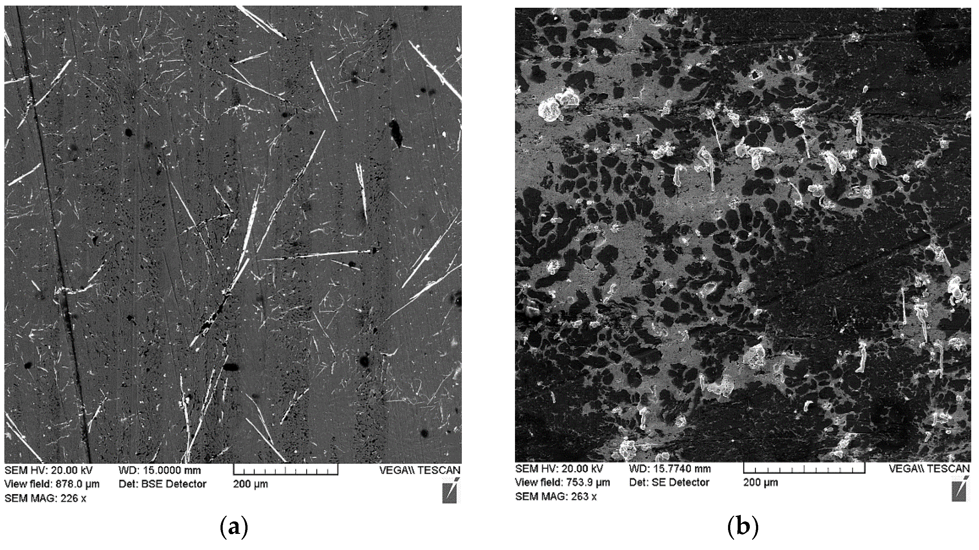 Materials 14 03555 g011