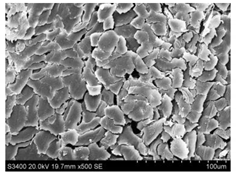 Materials 14 03564 i002