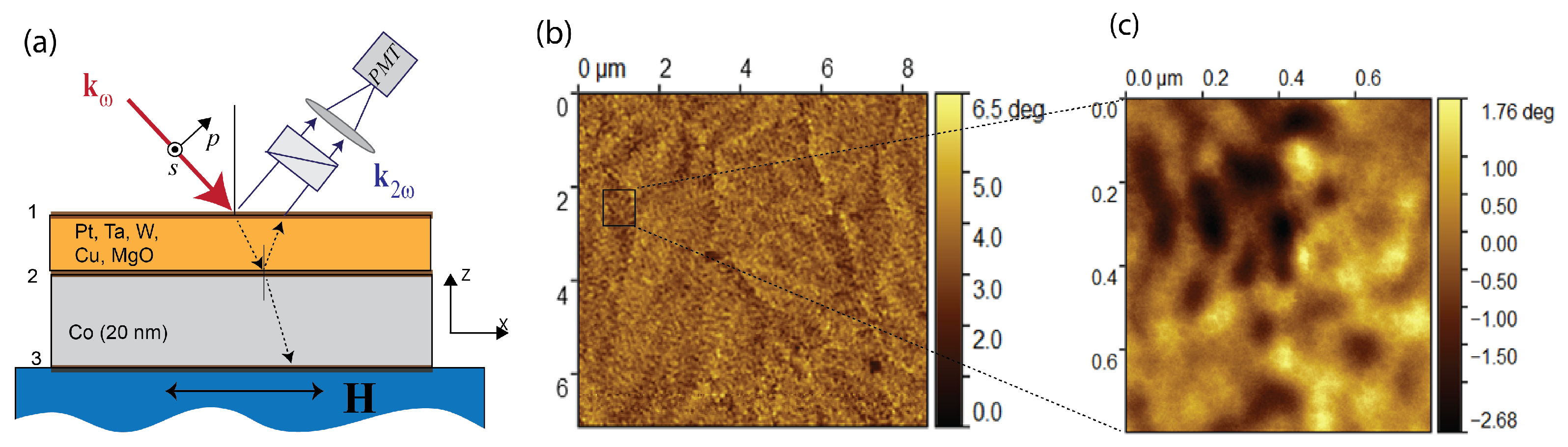 Materials 14 03573 g001