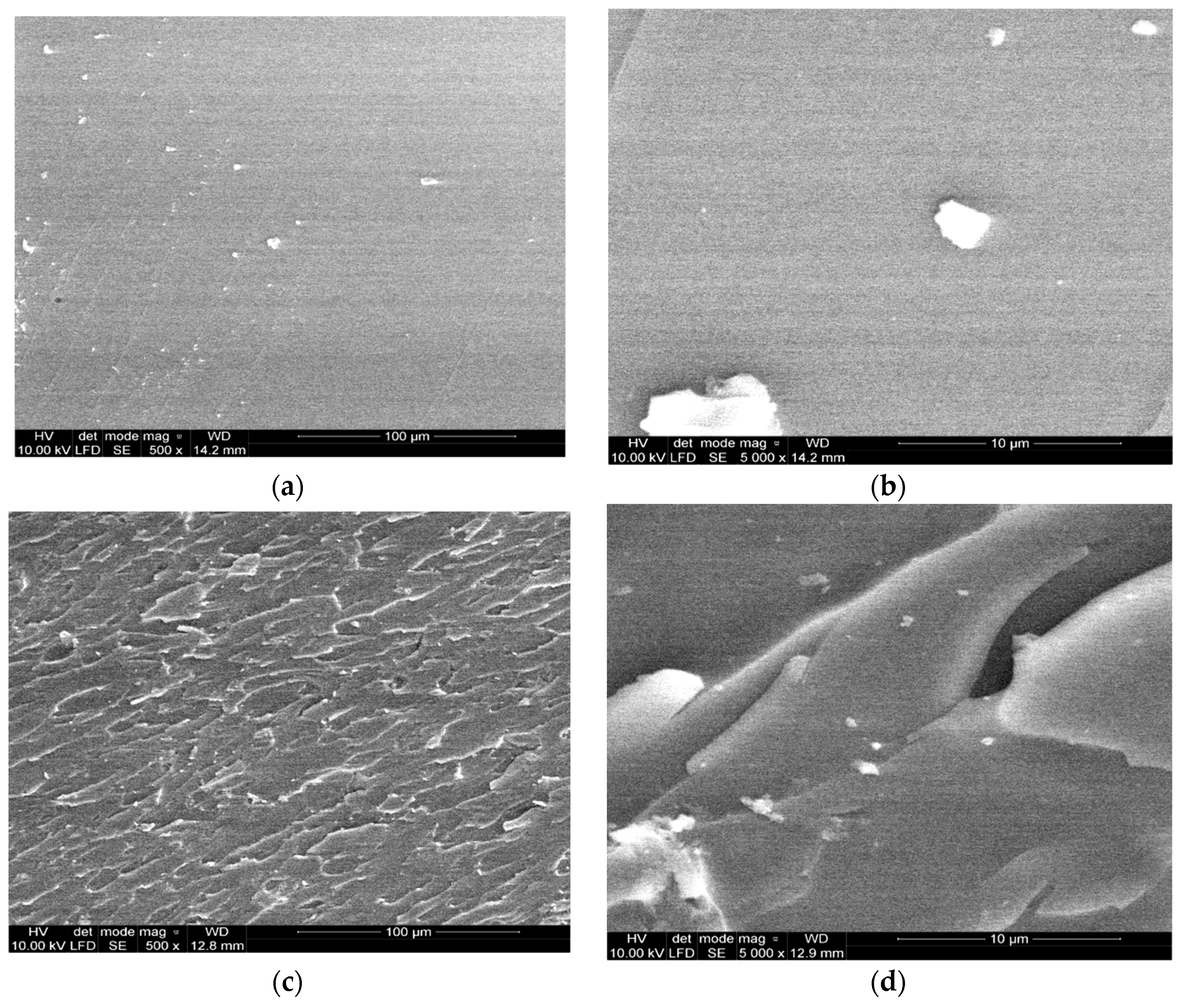 Materials 14 03576 g006