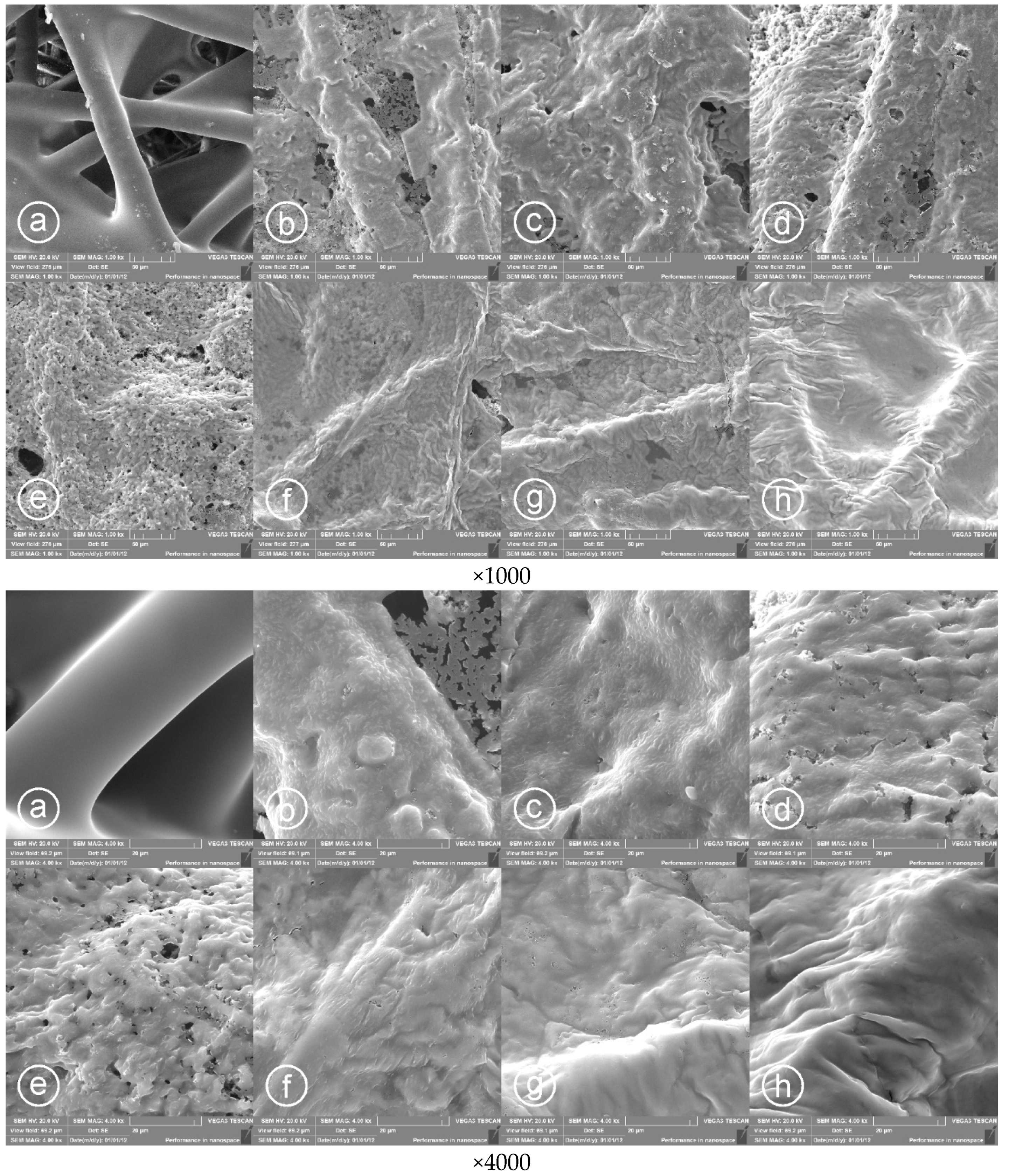 Materials 14 03577 g004
