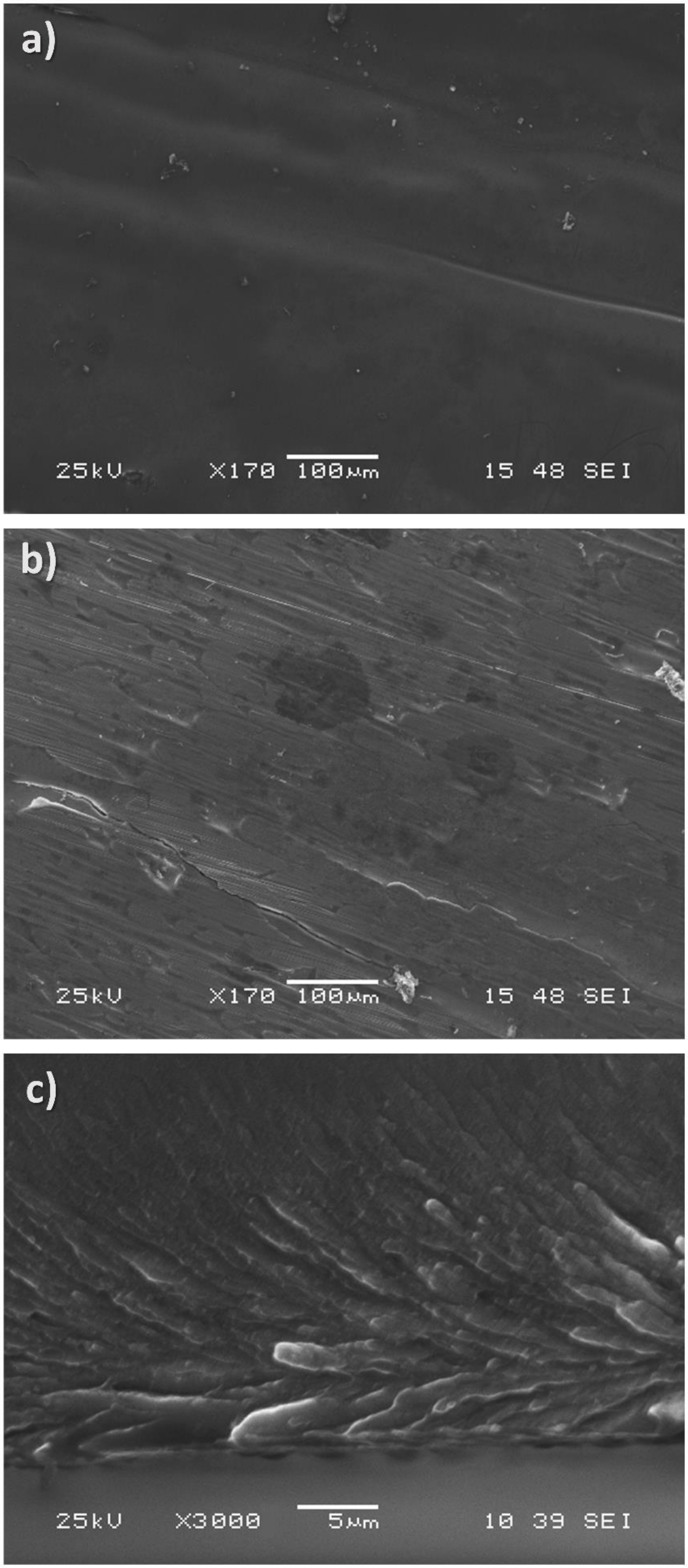 Materials 14 03583 g002