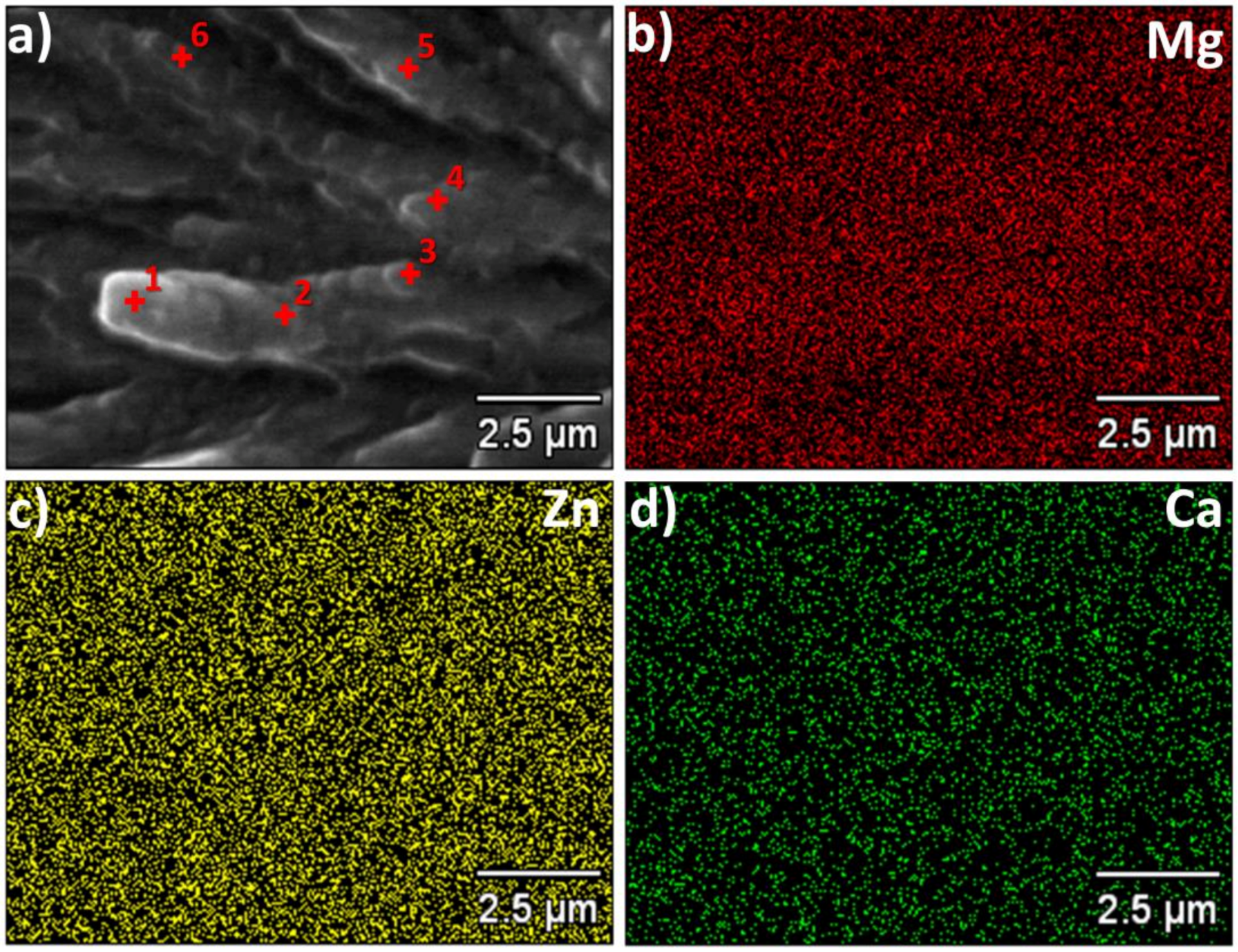 Materials 14 03583 g003