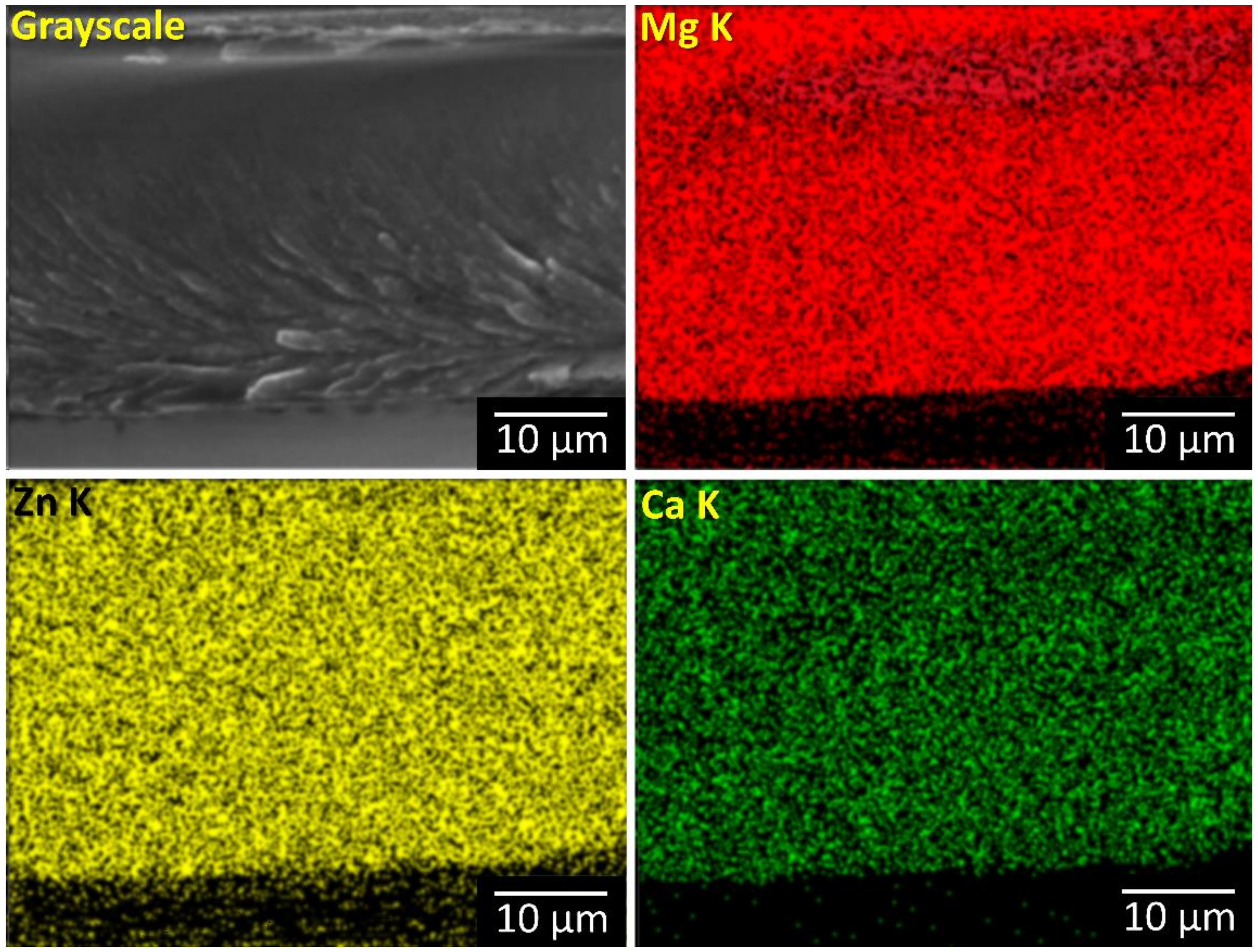 Materials 14 03583 g004