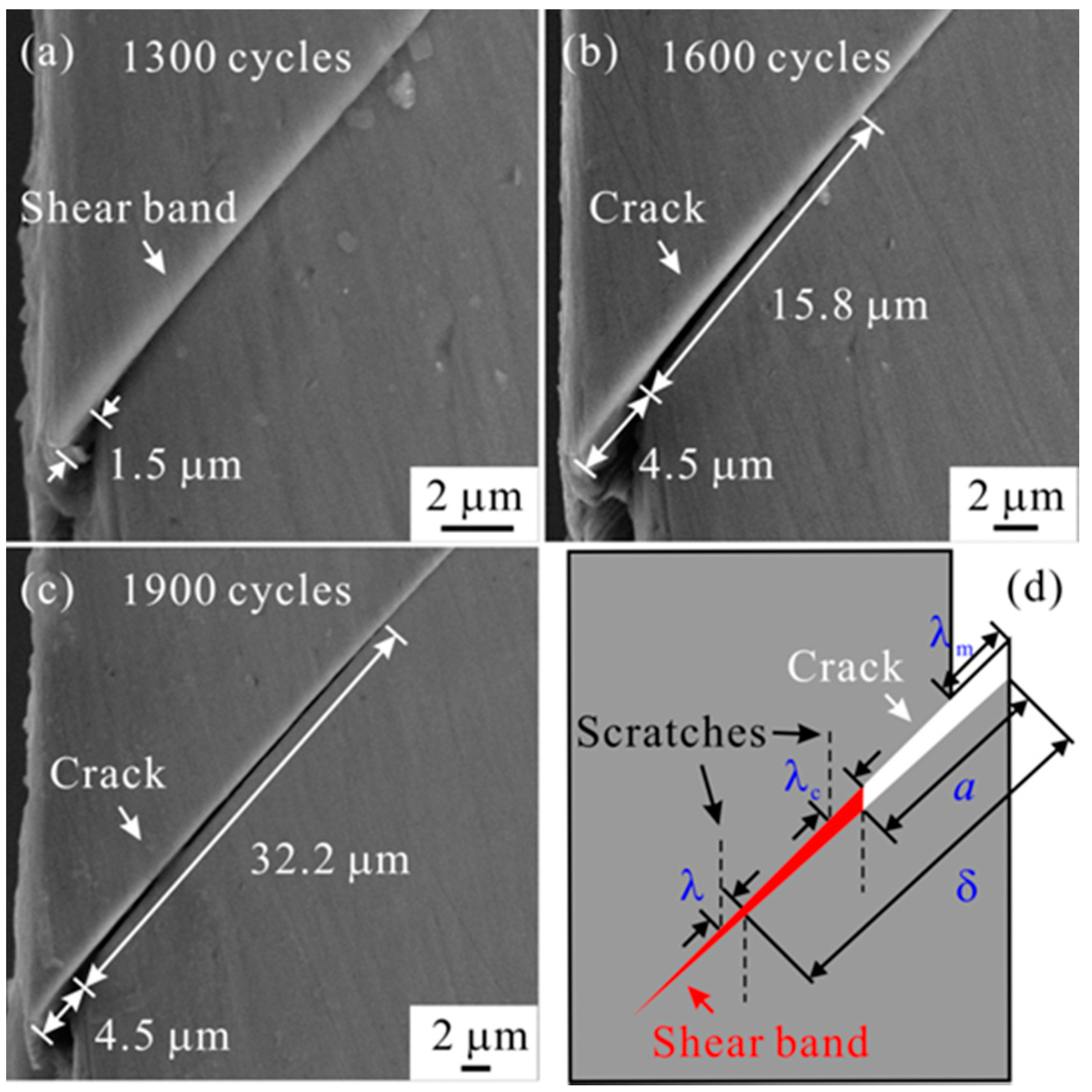 Materials 14 03595 g008