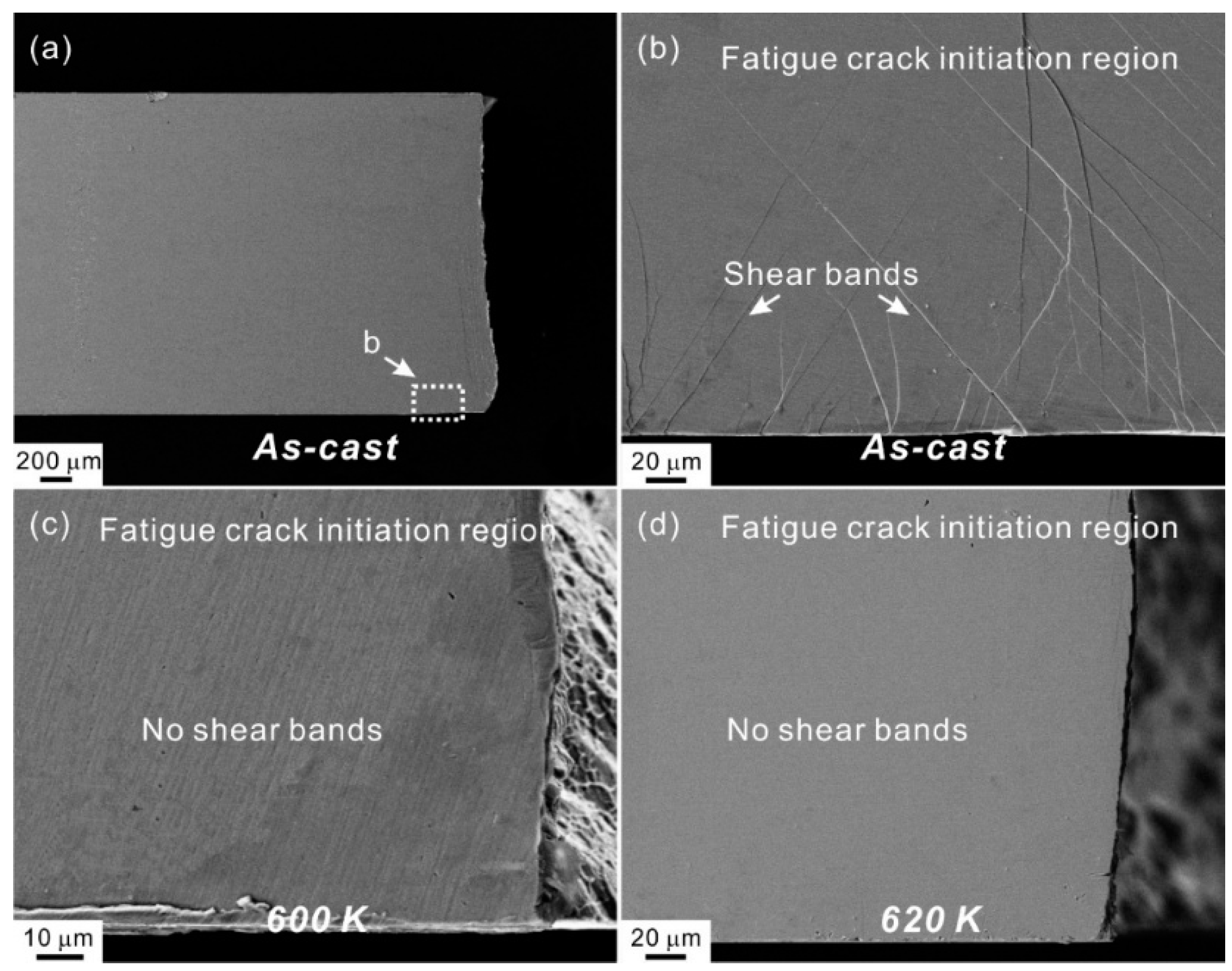 Materials 14 03595 g014