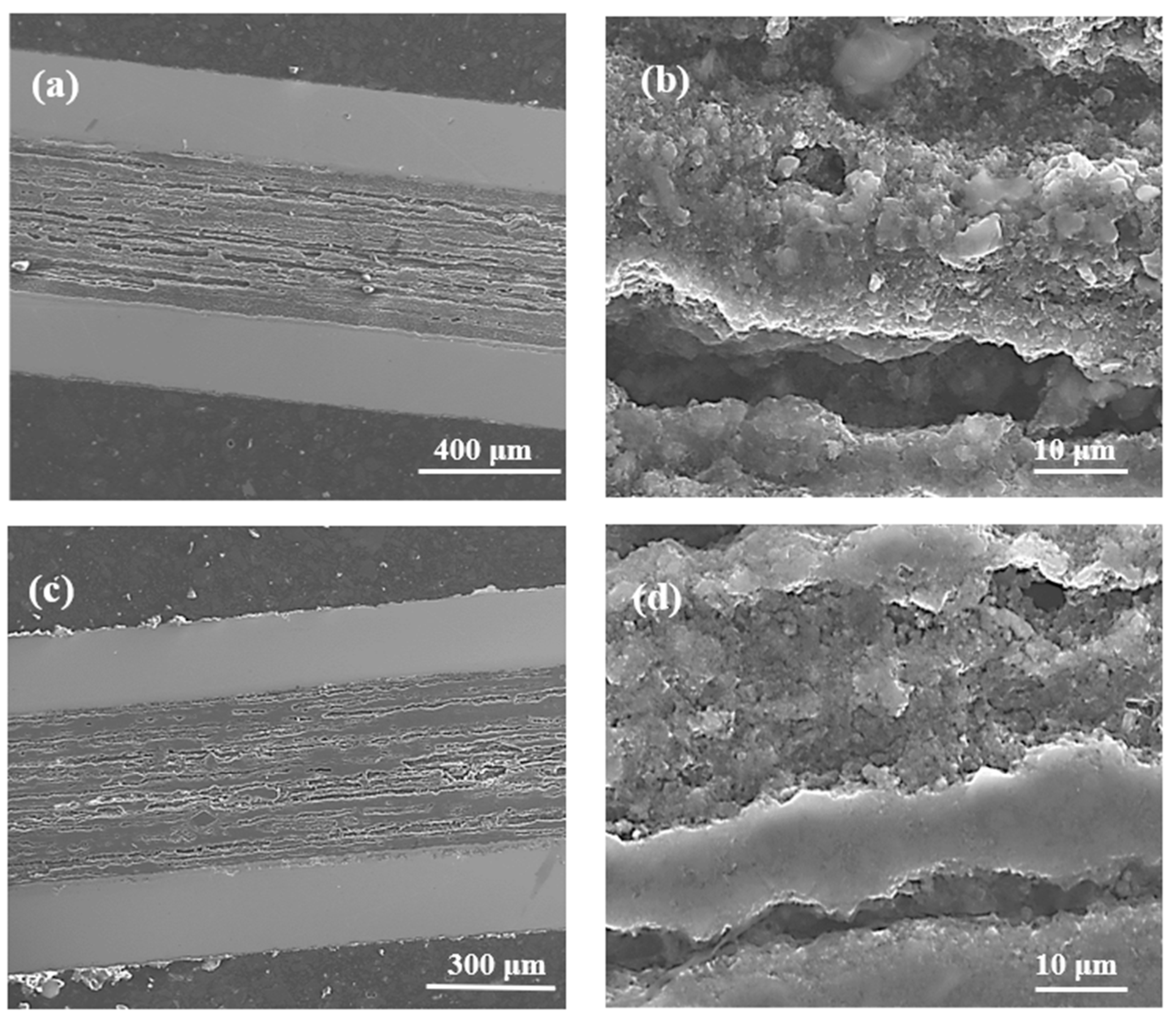 Materials 14 03600 g002