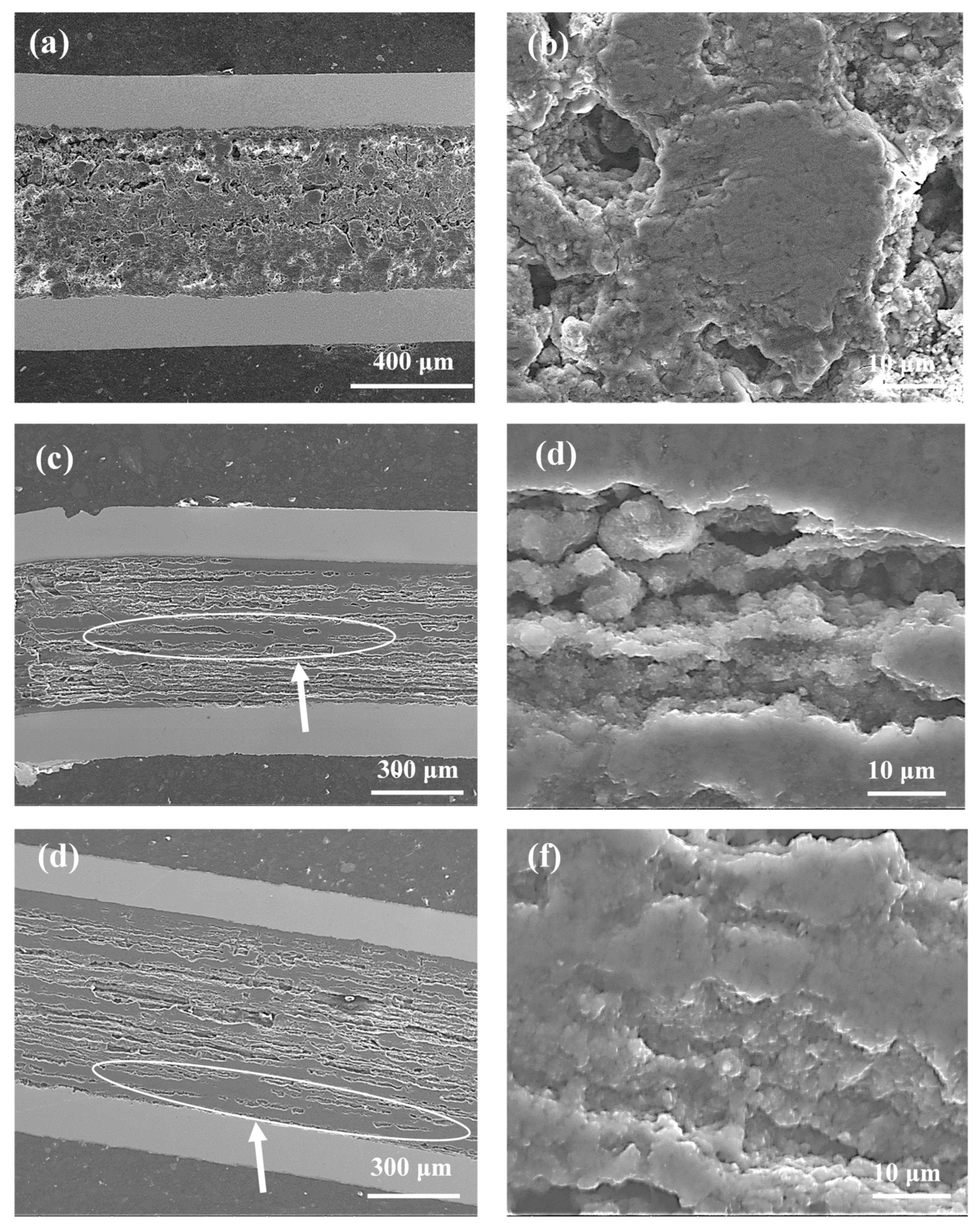 Materials 14 03600 g003