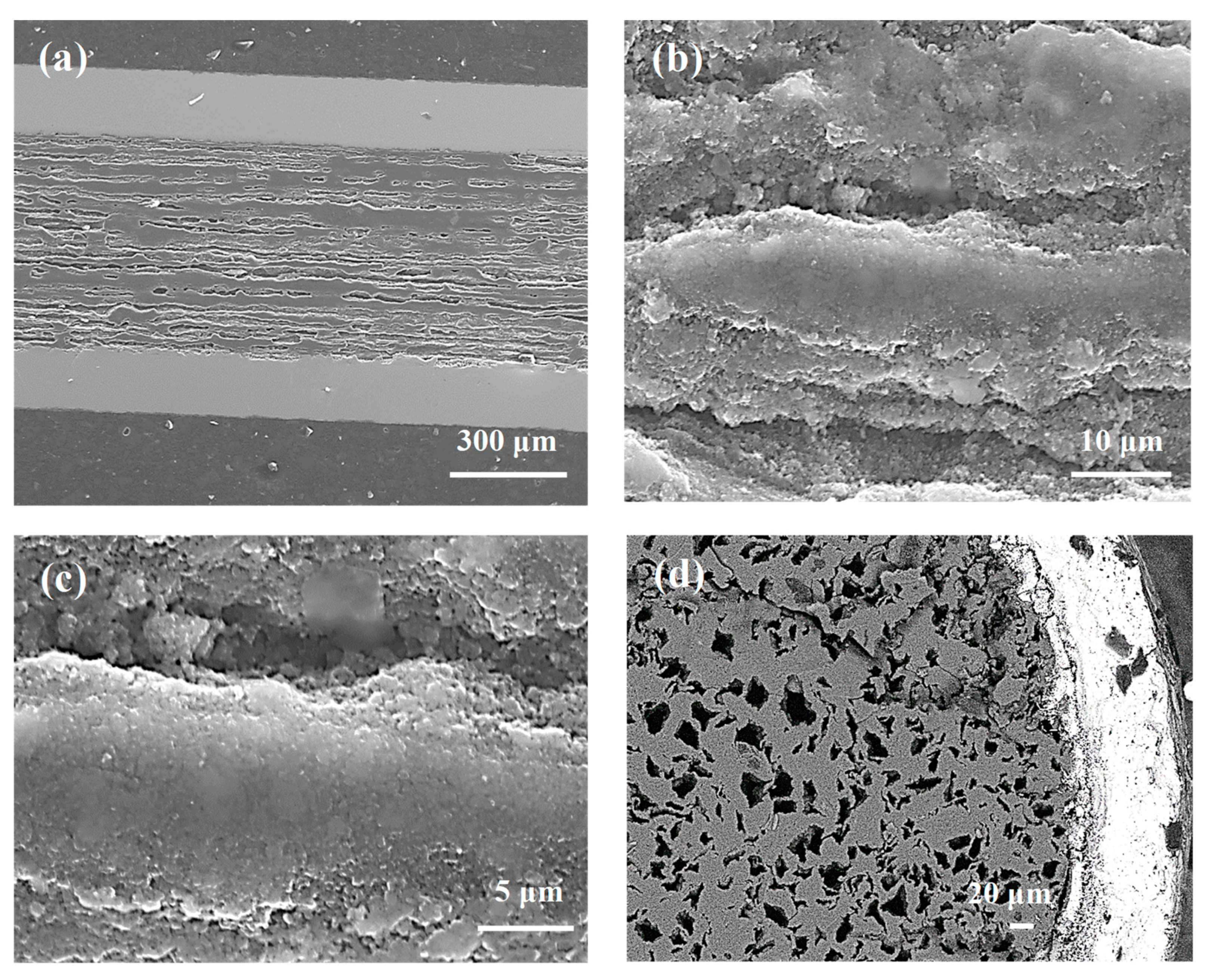 Materials 14 03600 g007