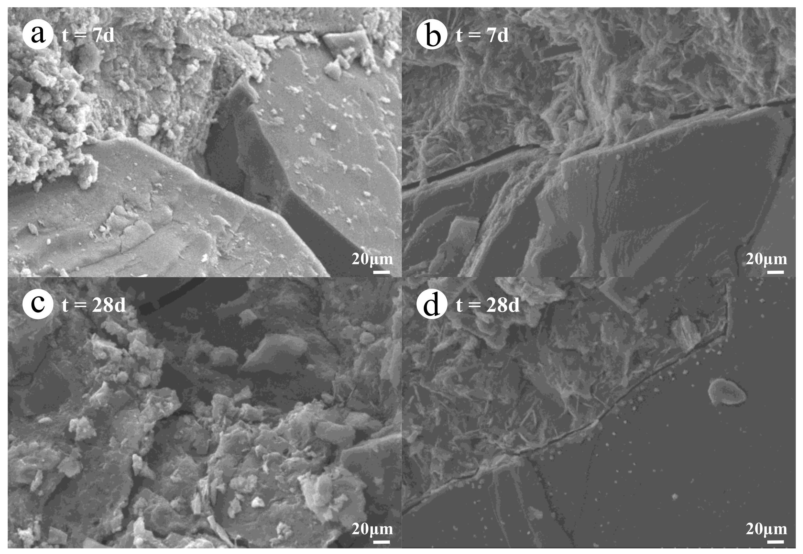 Materials 14 03601 g004