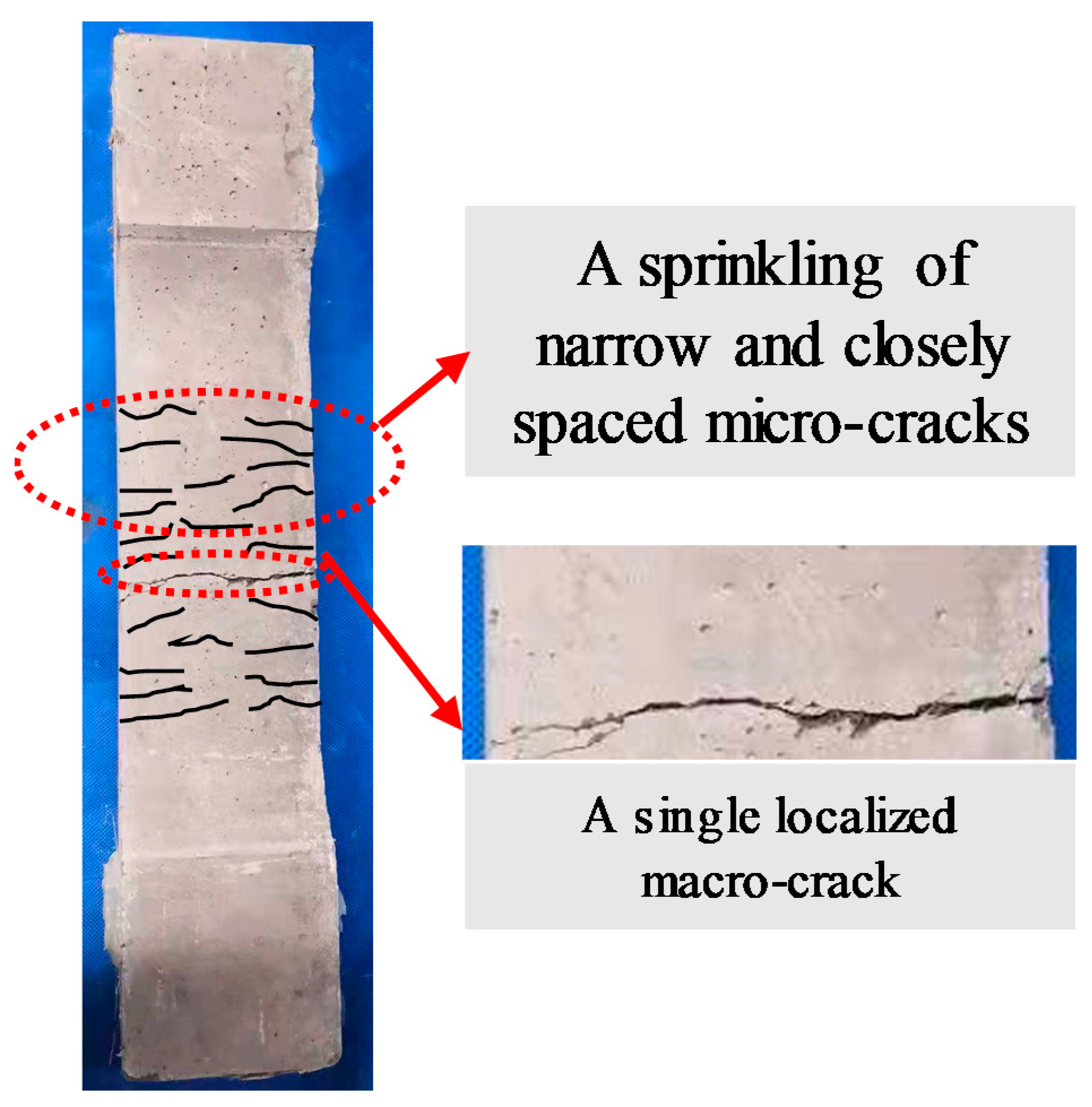 Materials 14 03602 g005