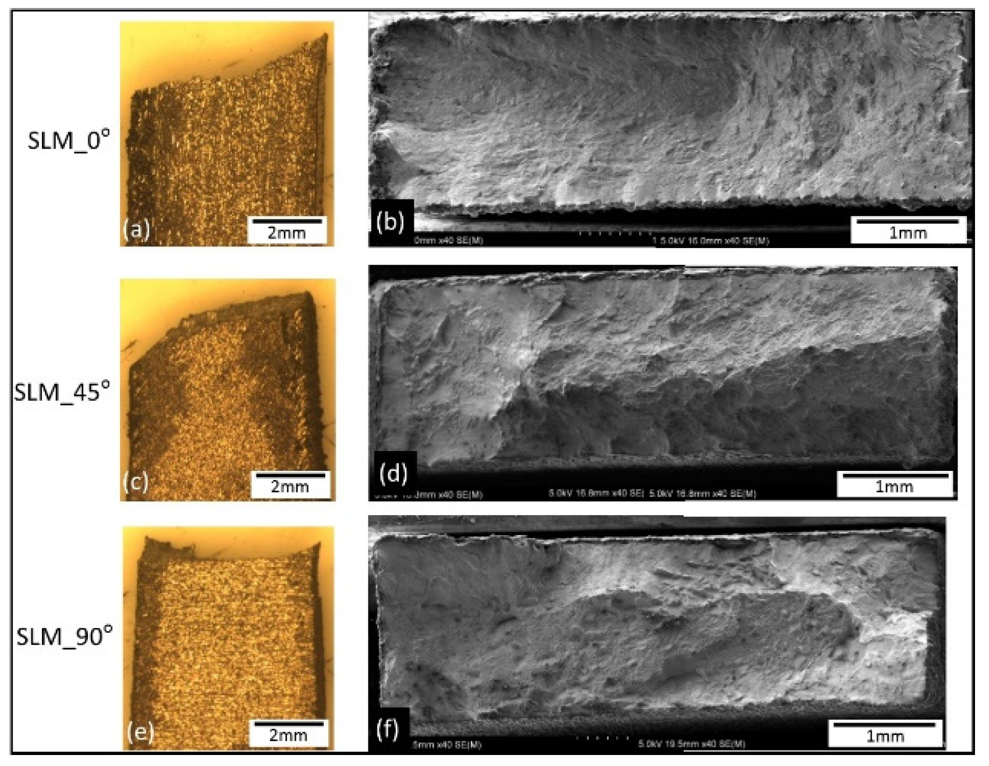 Materials 14 03603 g011
