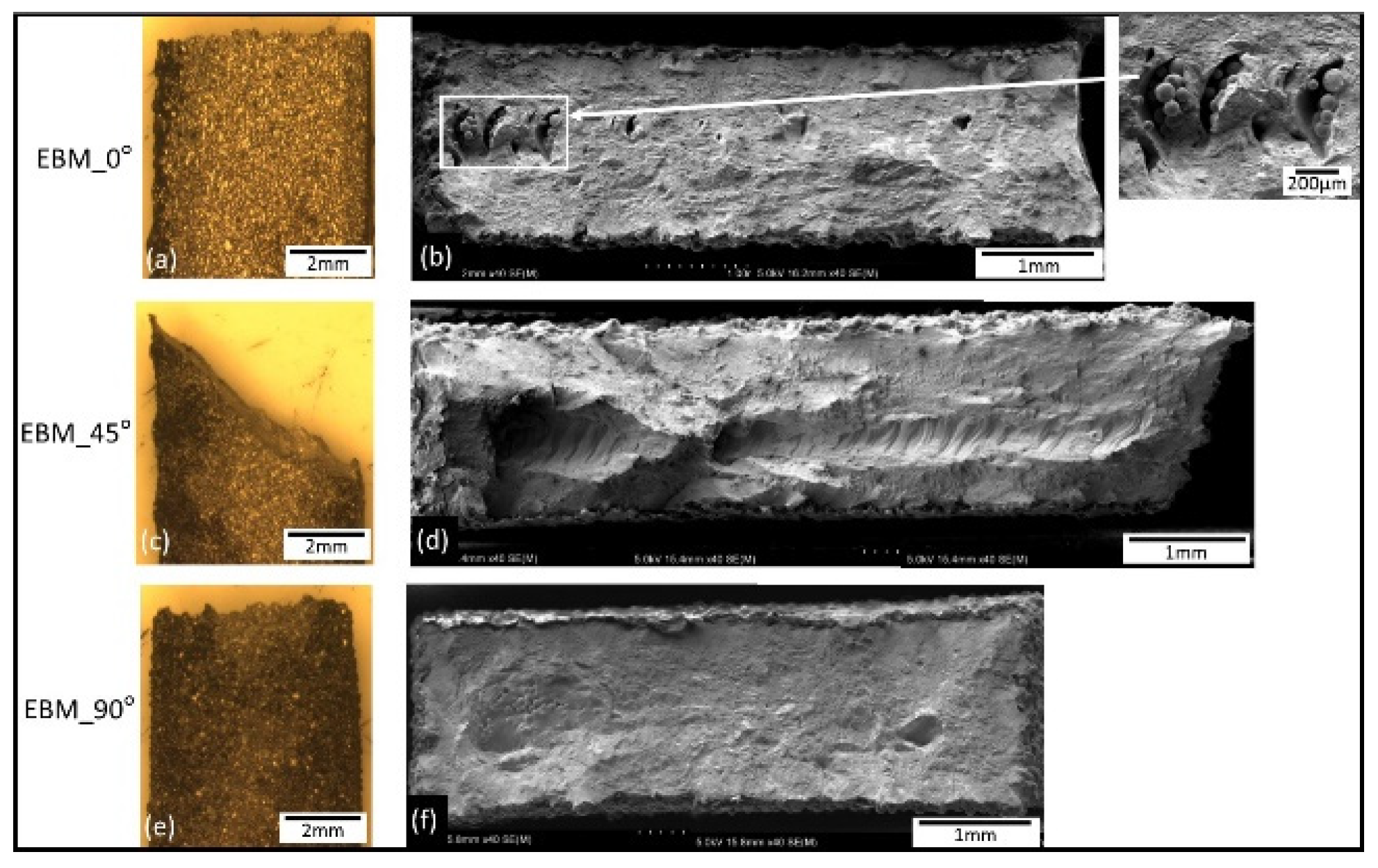 Materials 14 03603 g012