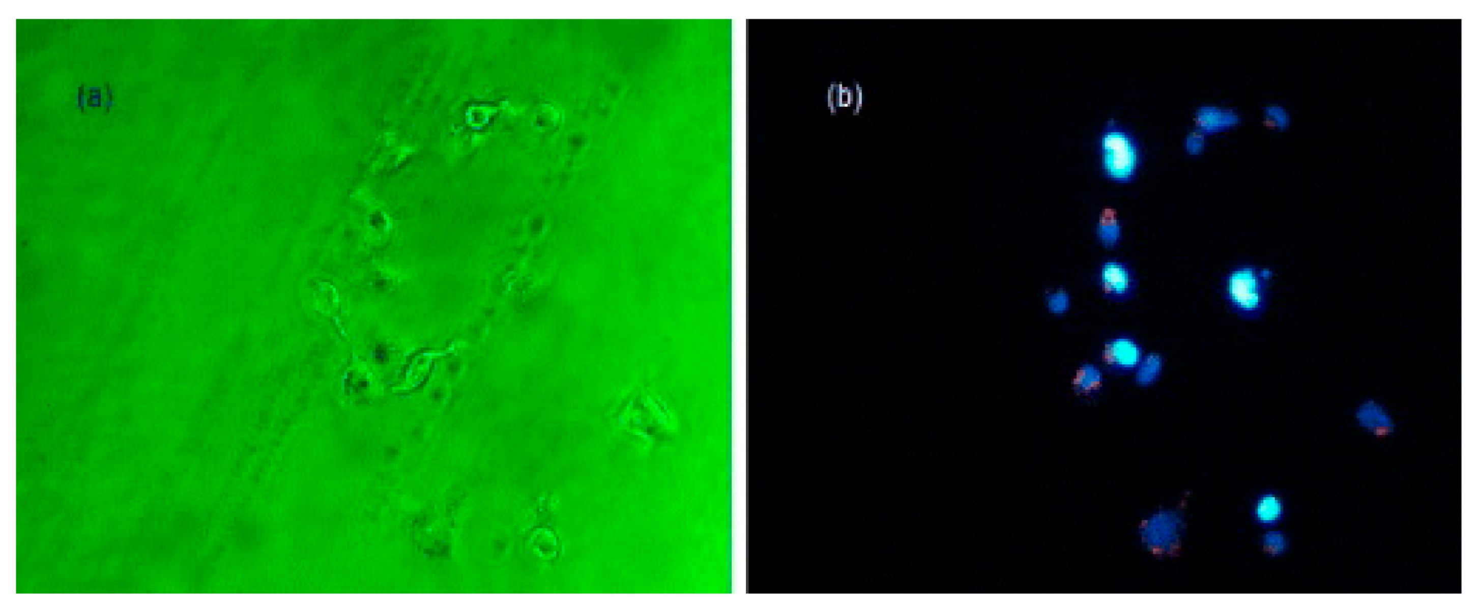 Materials 14 03607 g008