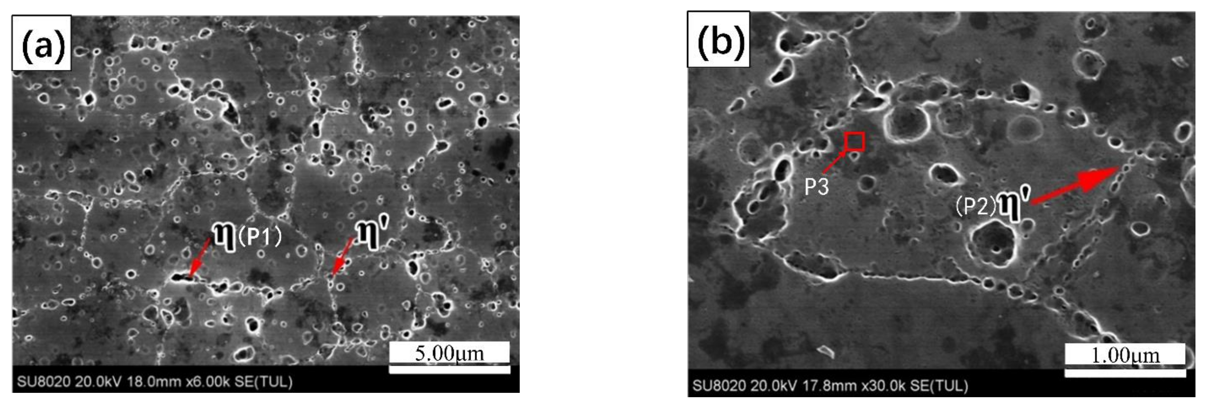 Materials 14 03615 g002a