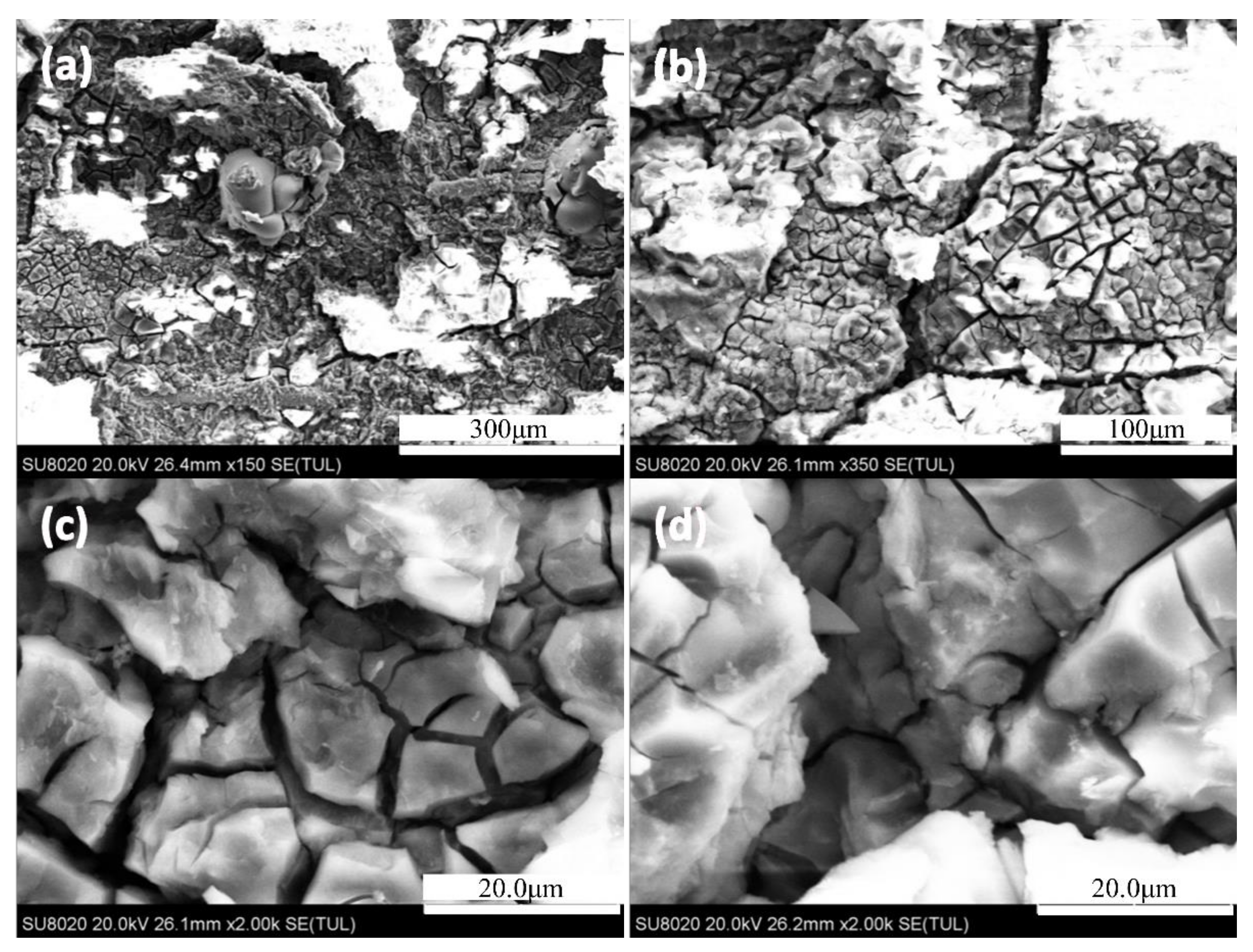 Materials 14 03615 g004