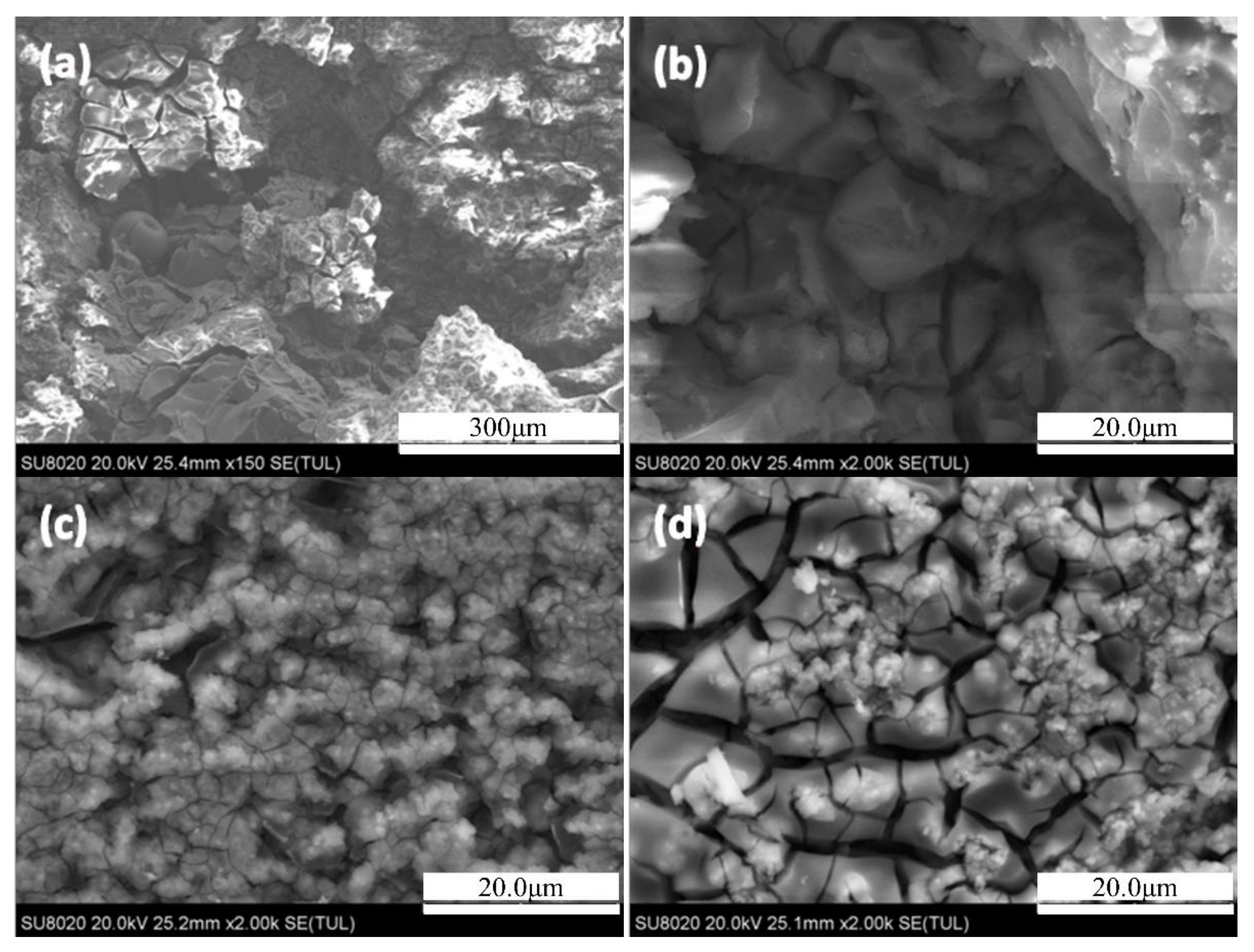 Materials 14 03615 g006