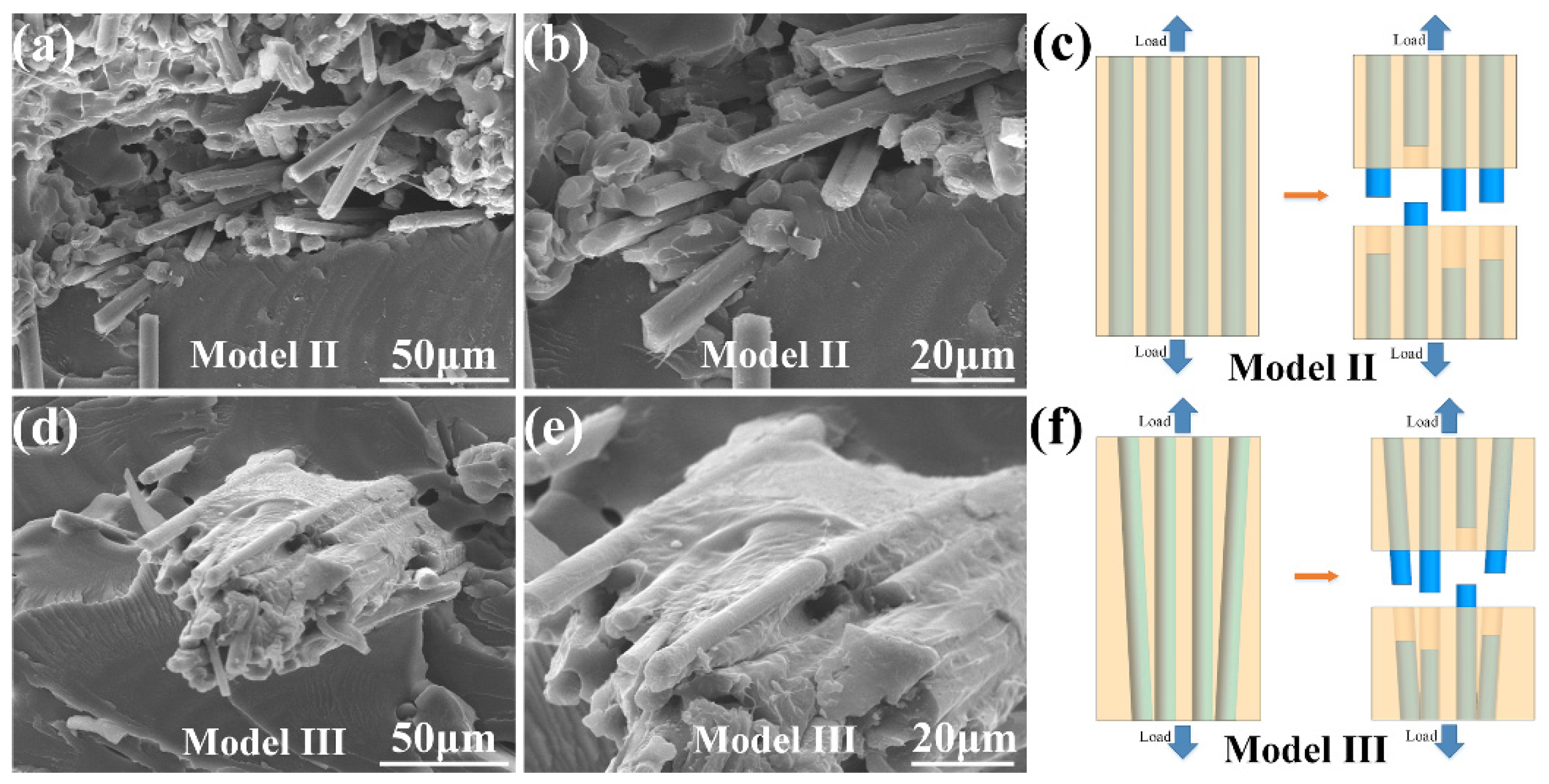 Materials 14 03618 g005