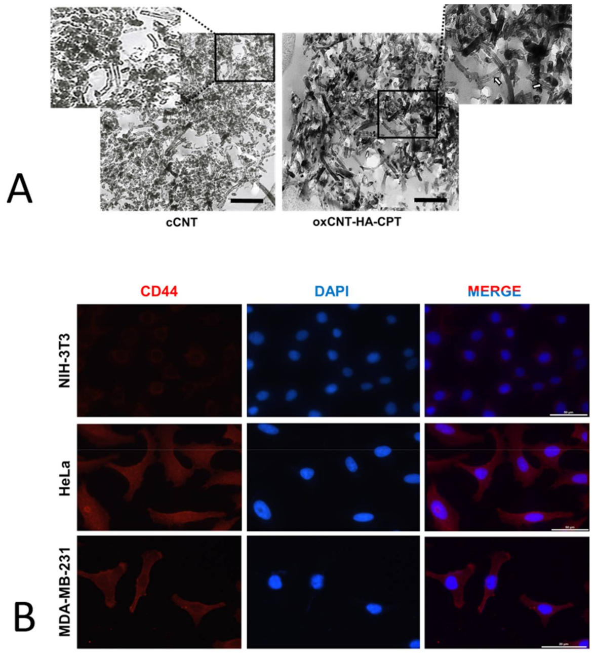 Materials 14 03622 g001