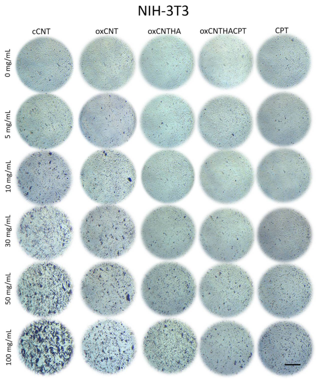 Materials 14 03622 g002