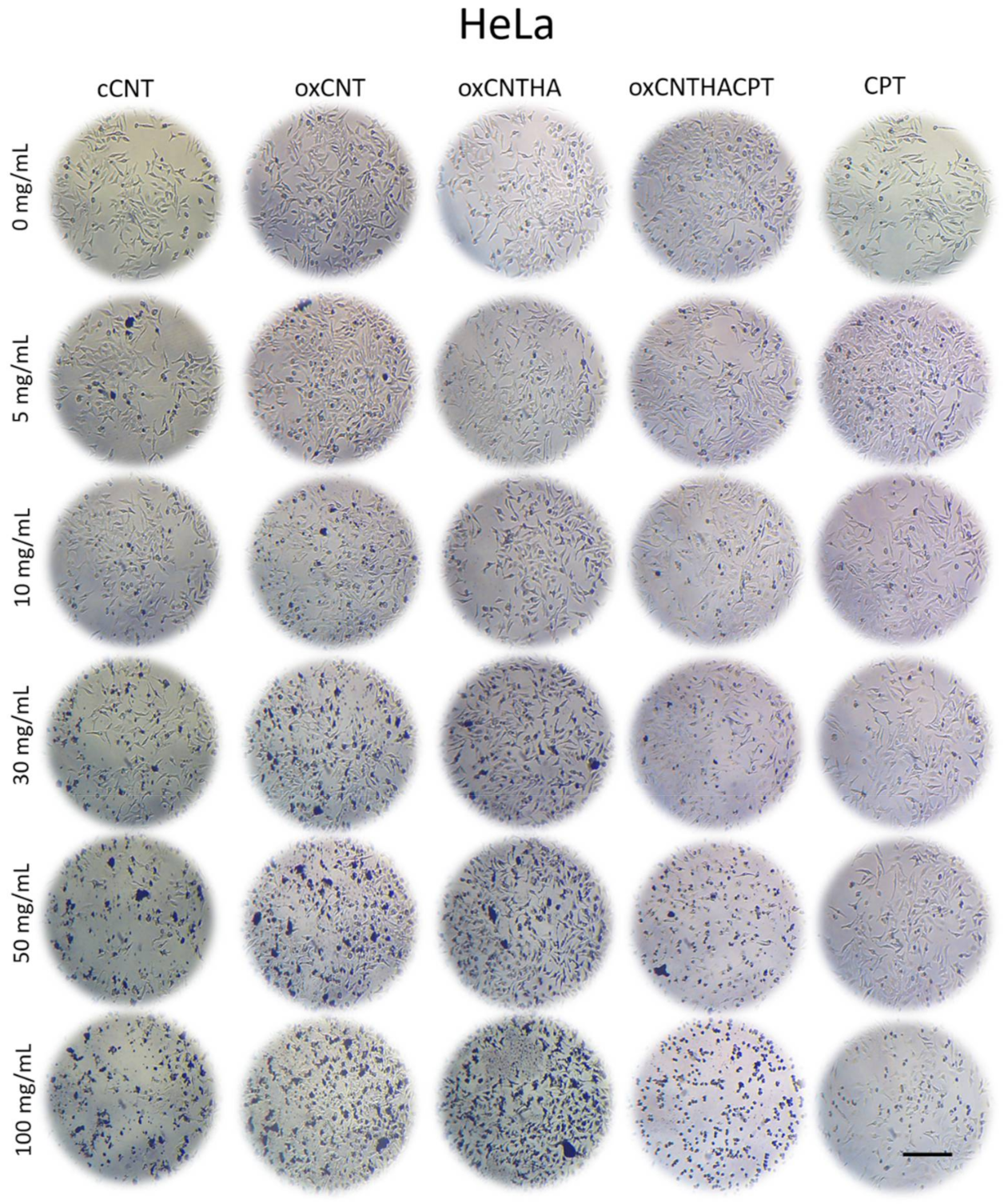 Materials 14 03622 g003