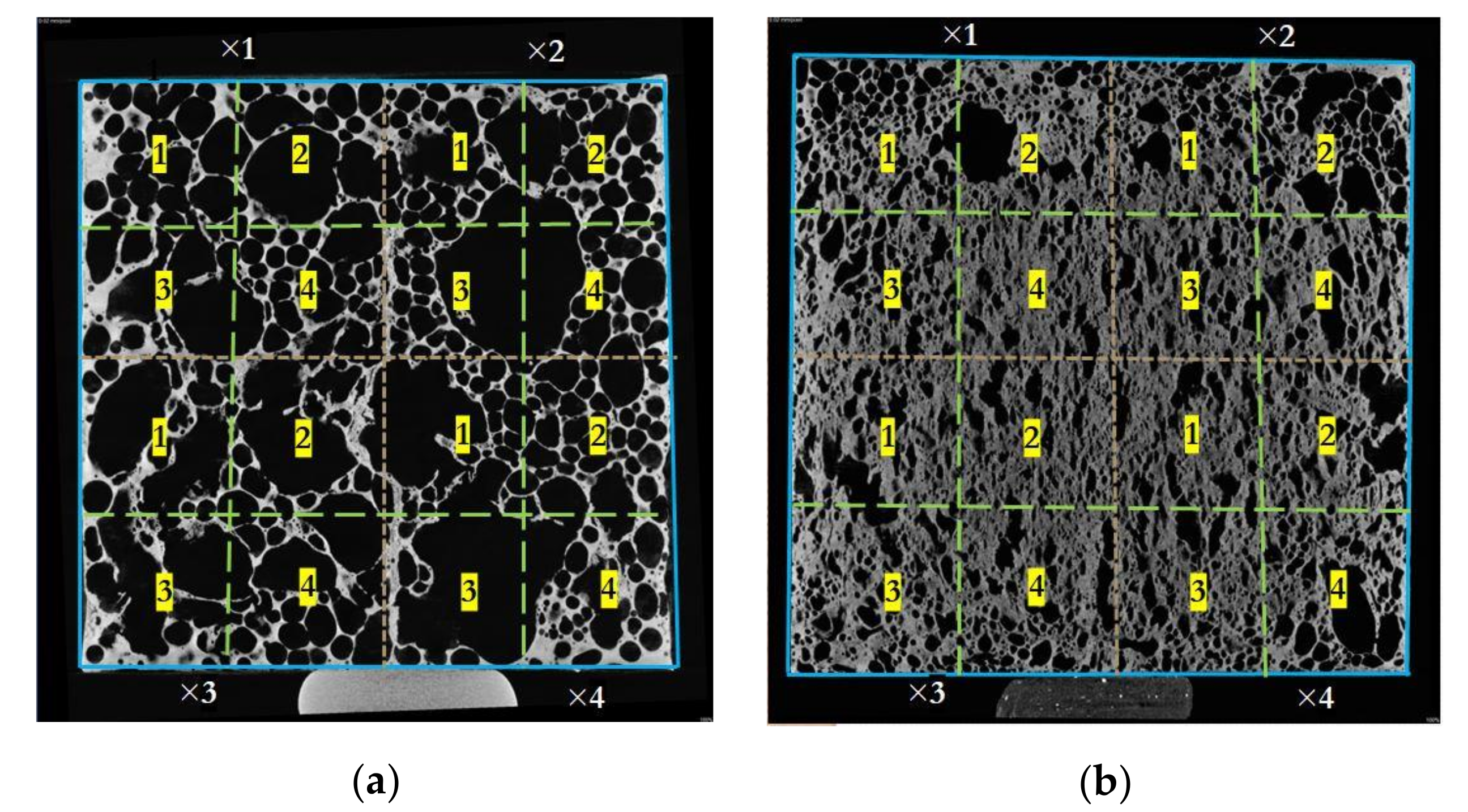 Materials 14 03623 g004