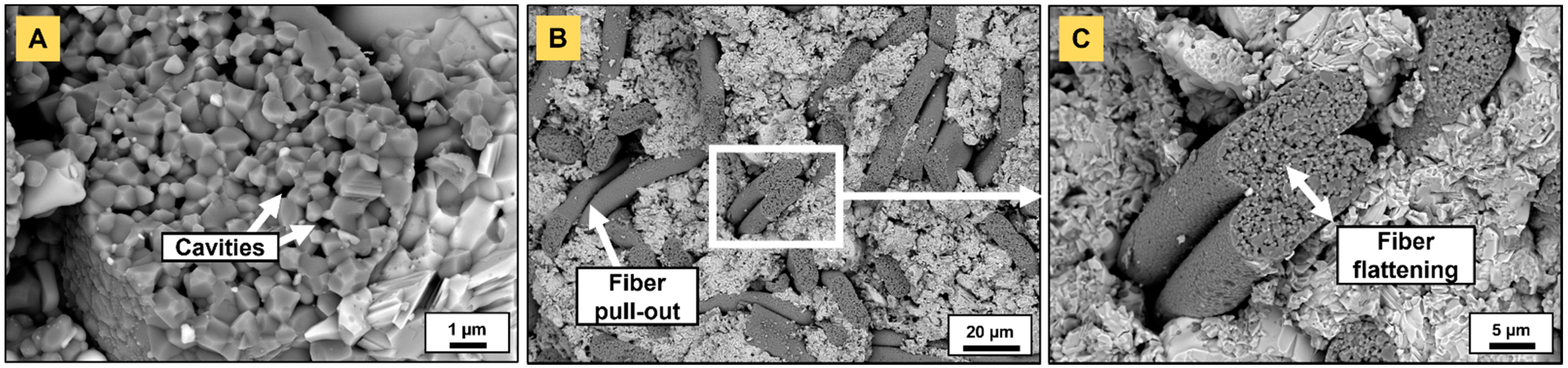 Materials 14 03632 g011