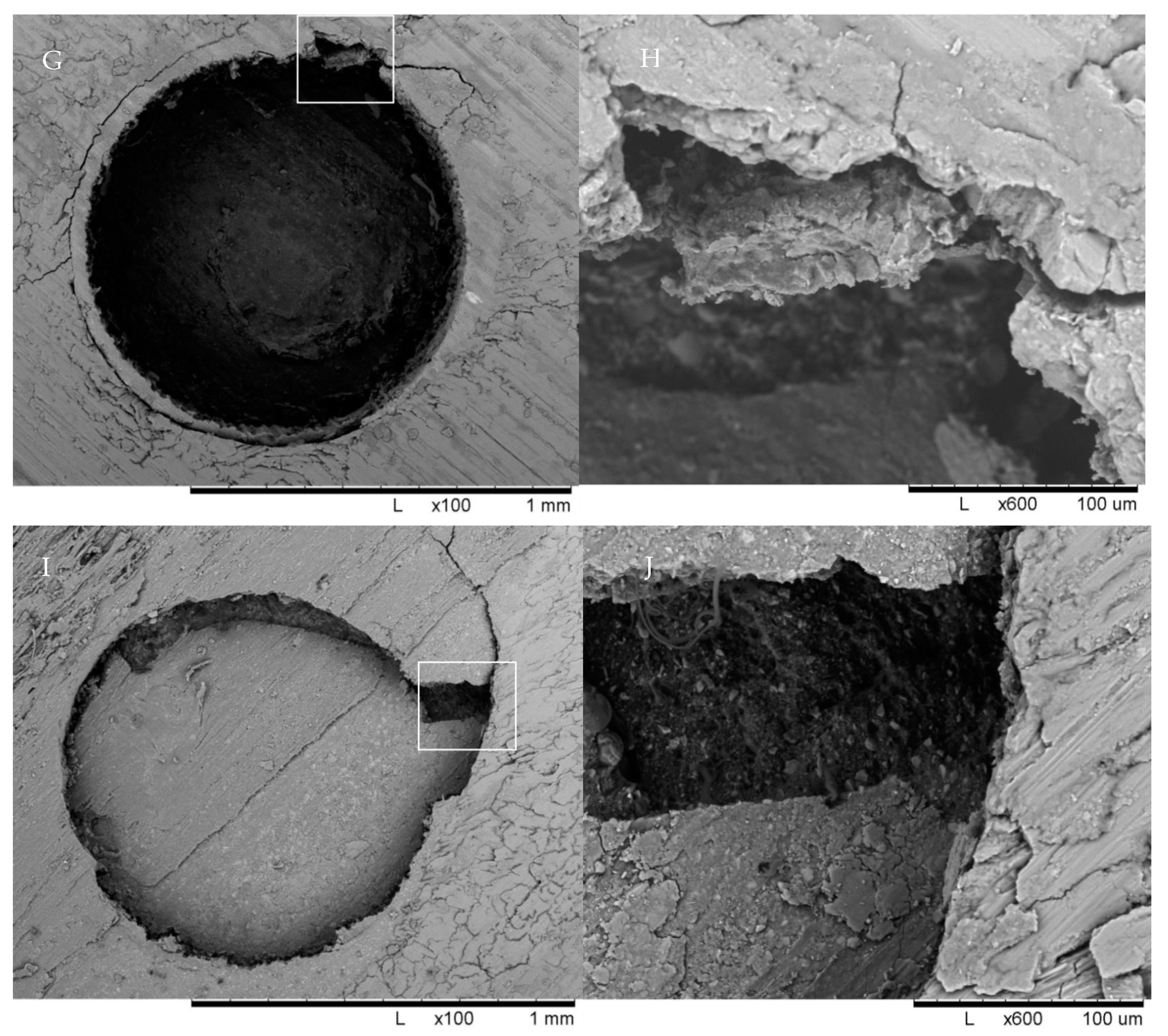 Materials 14 03639 g003b