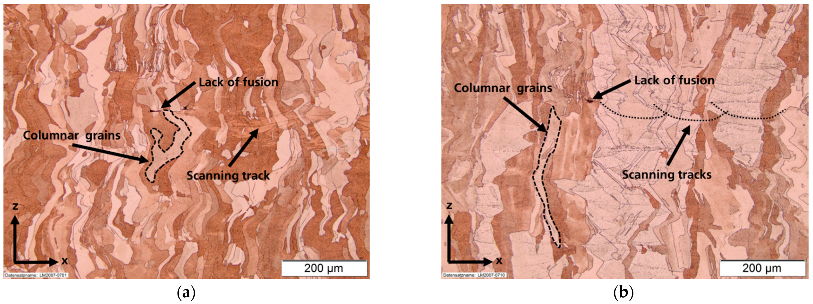 Materials 14 03642 g007