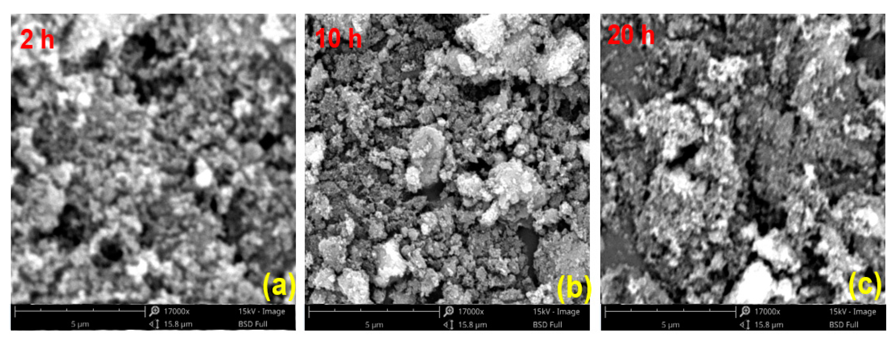 Materials 14 03647 g006