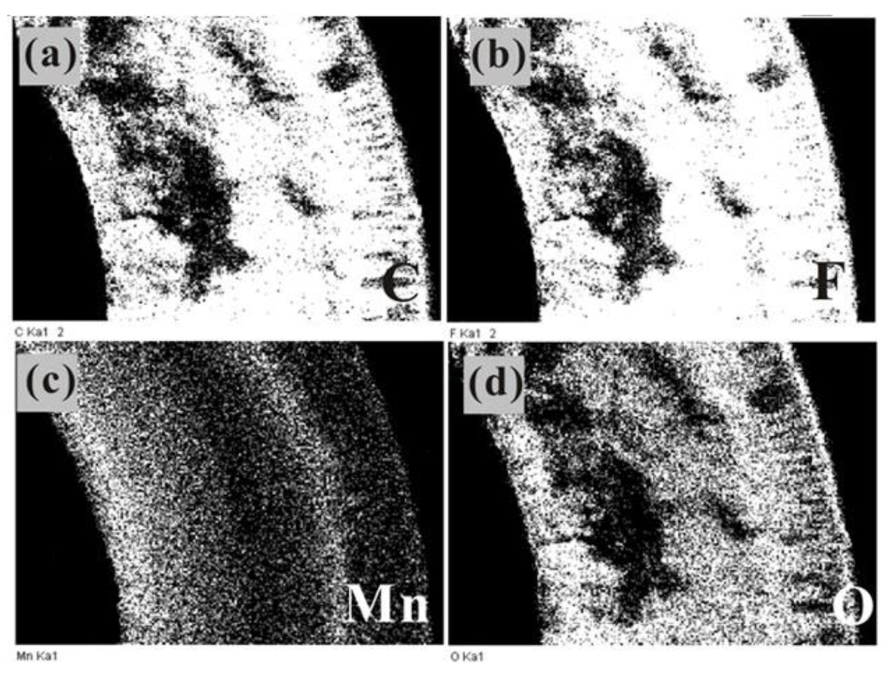 Materials 14 03651 g003