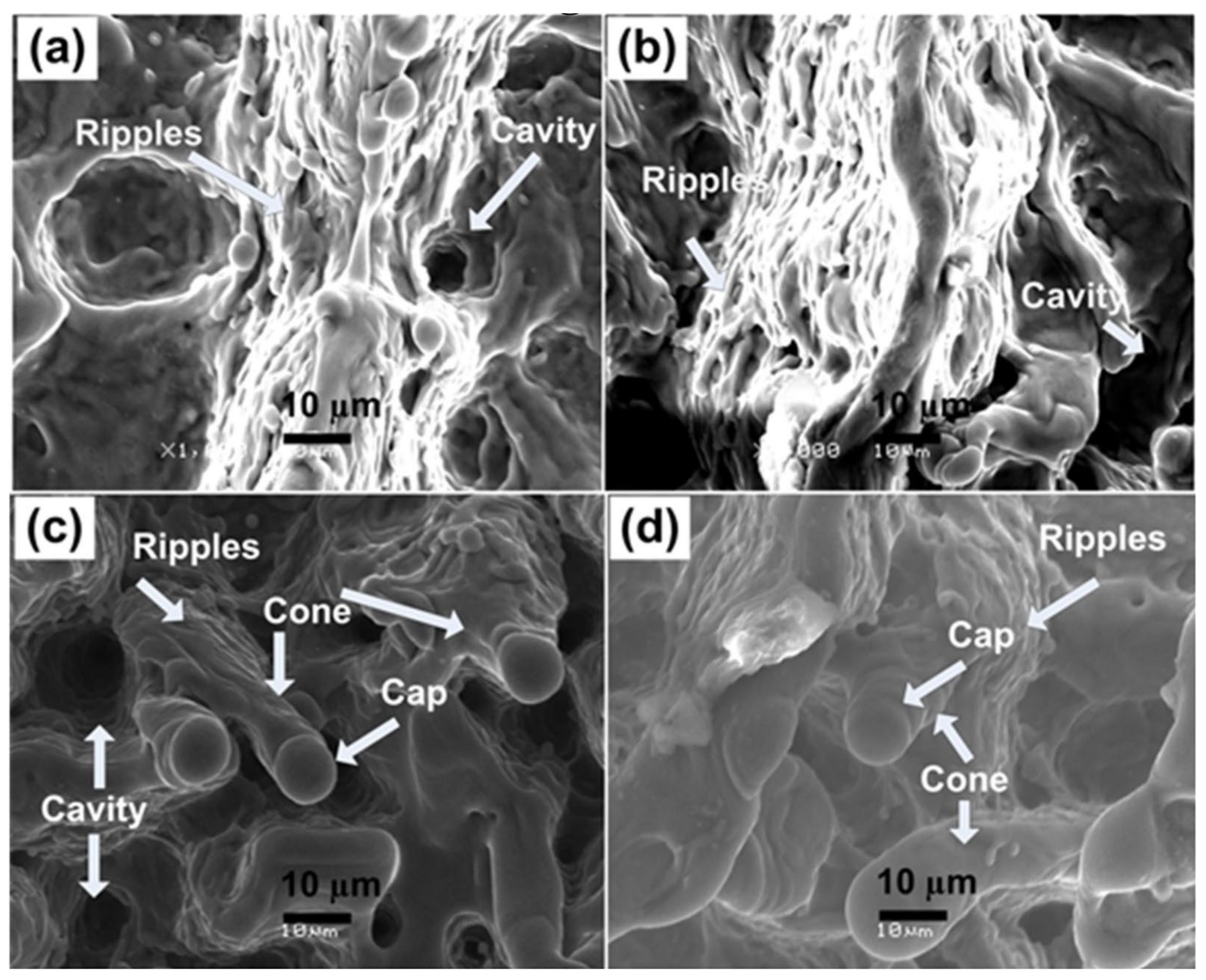 Materials 14 03671 g002