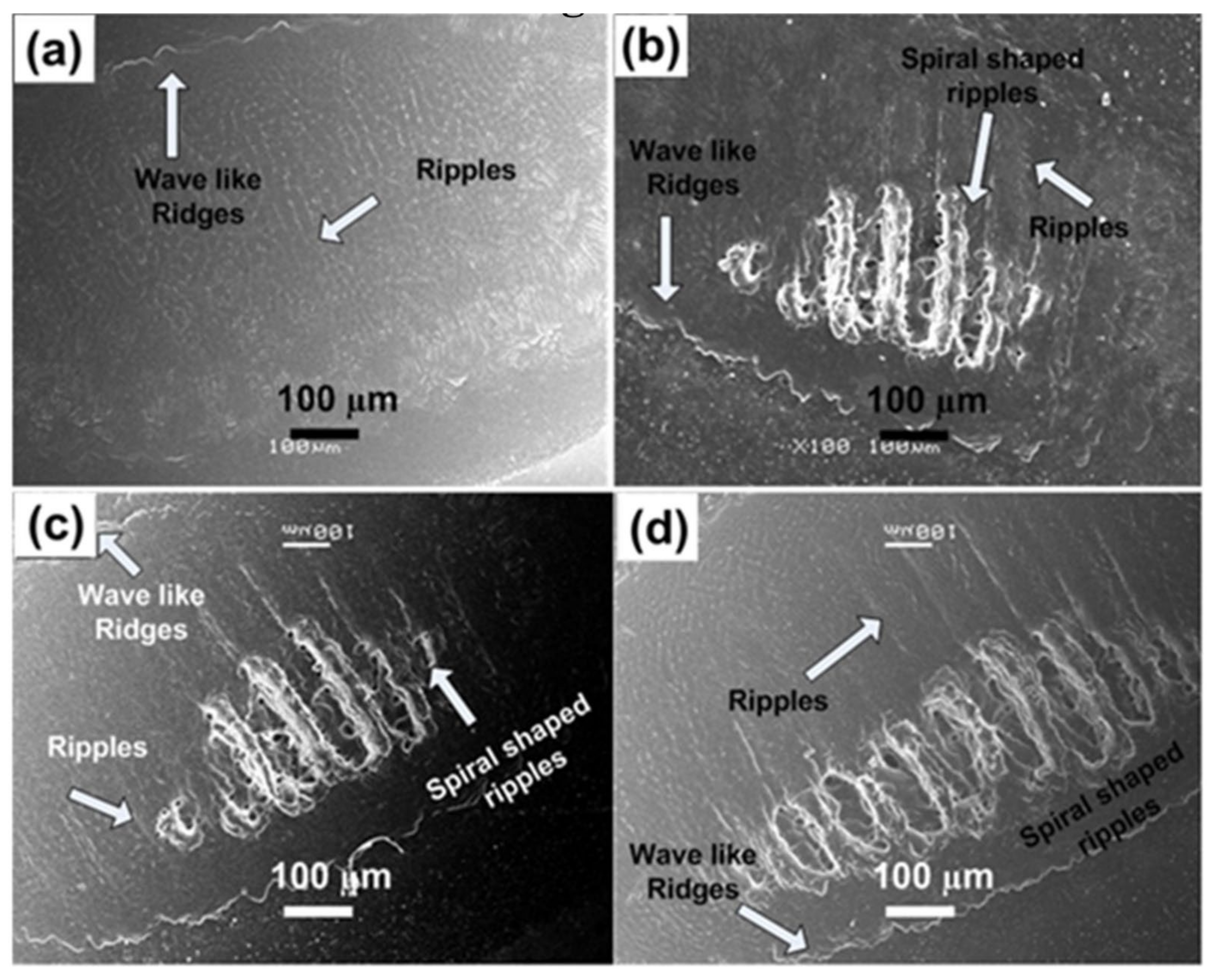 Materials 14 03671 g003