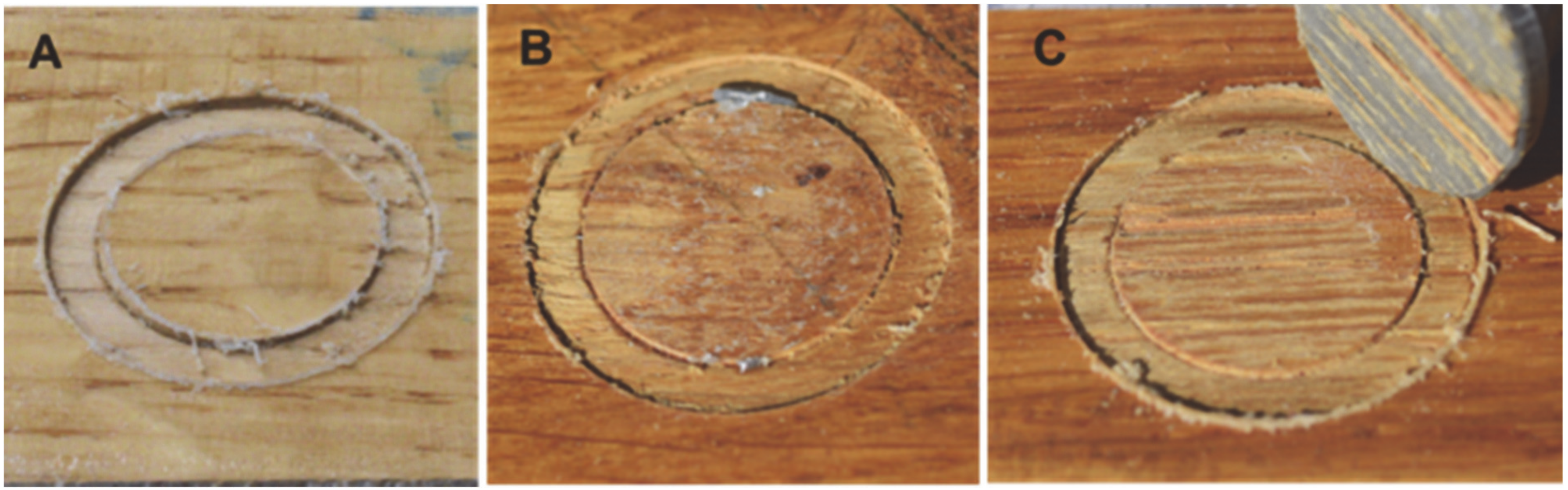 Materials 14 03672 g006