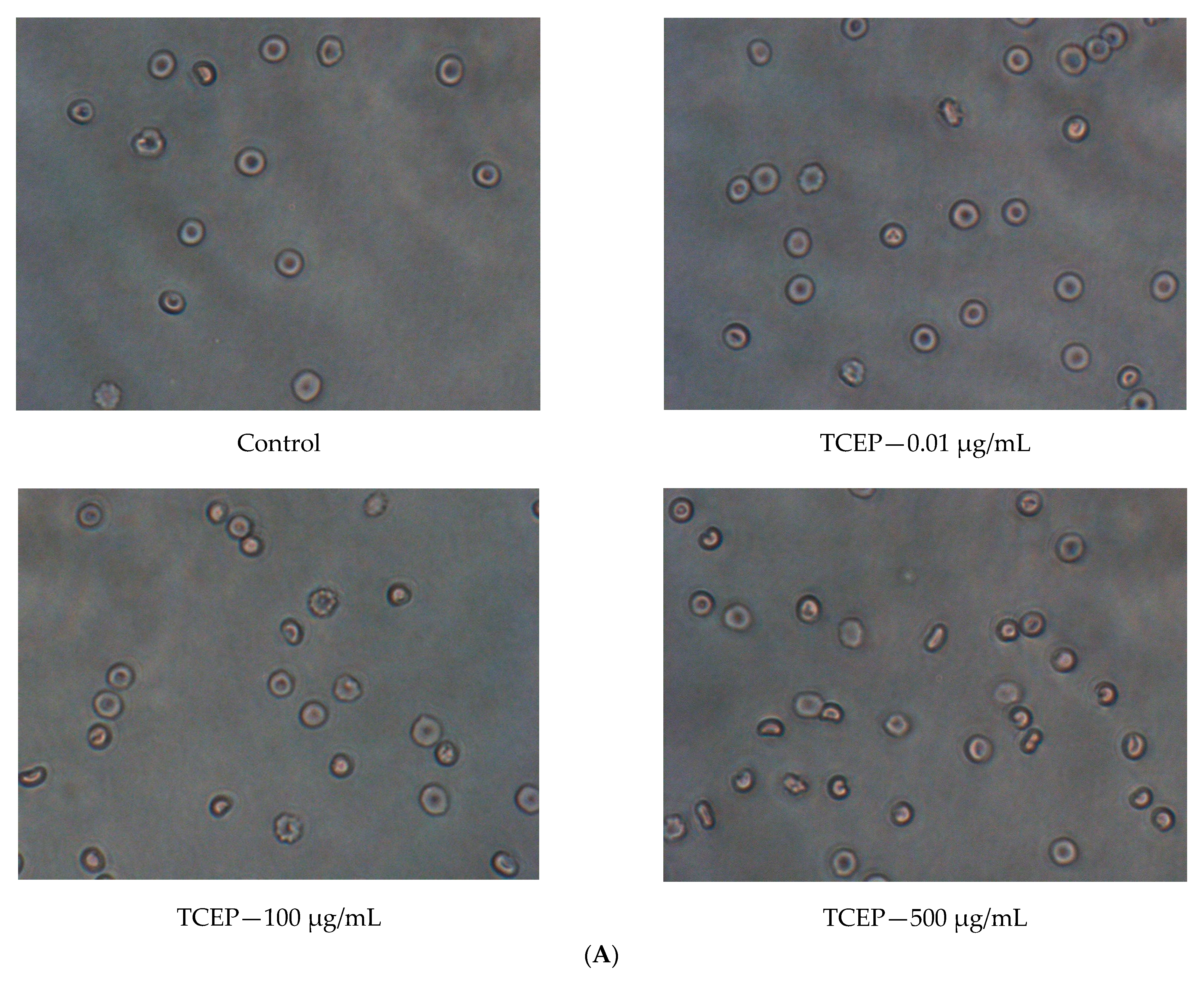 Materials 14 03675 g004a
