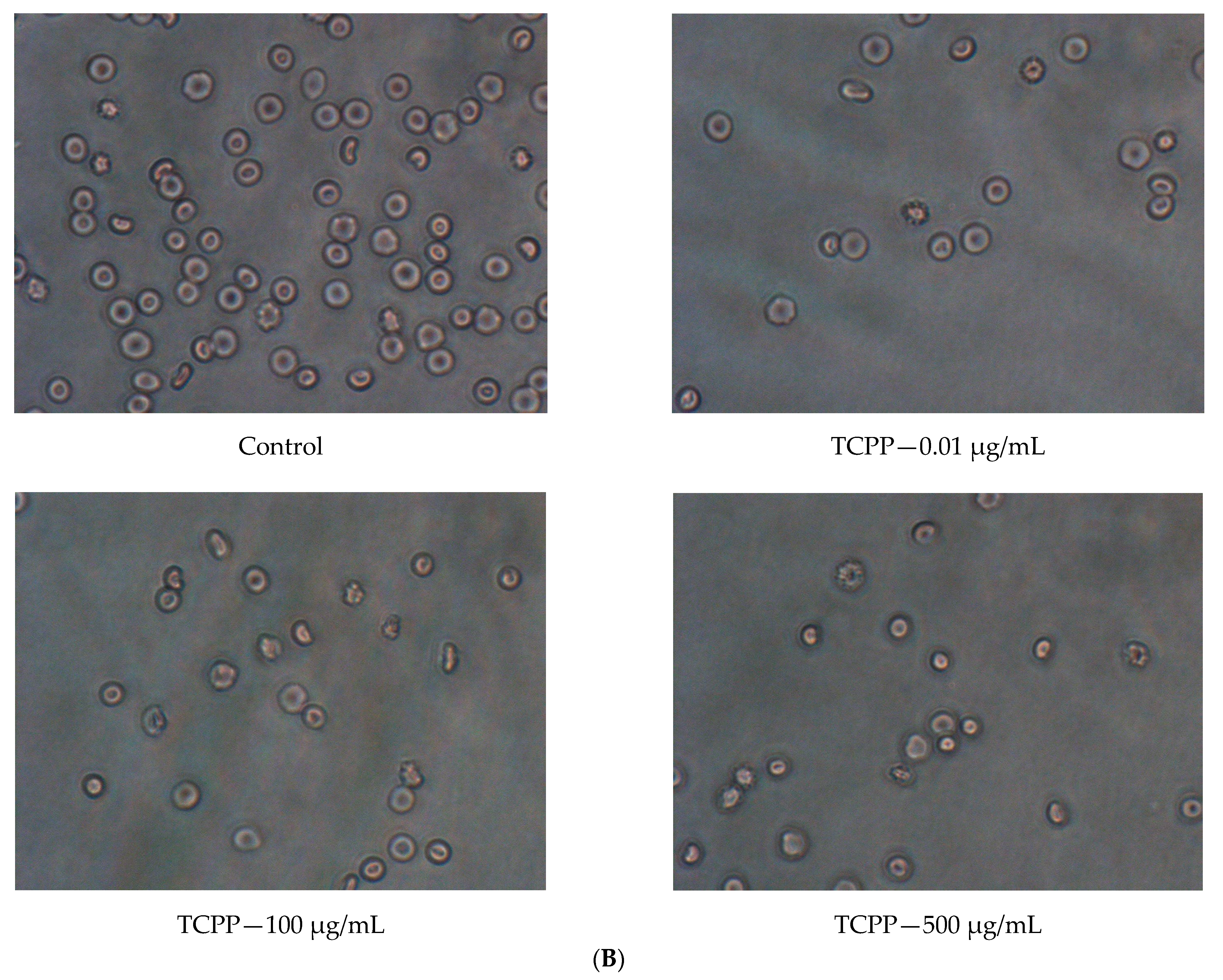 Materials 14 03675 g004b