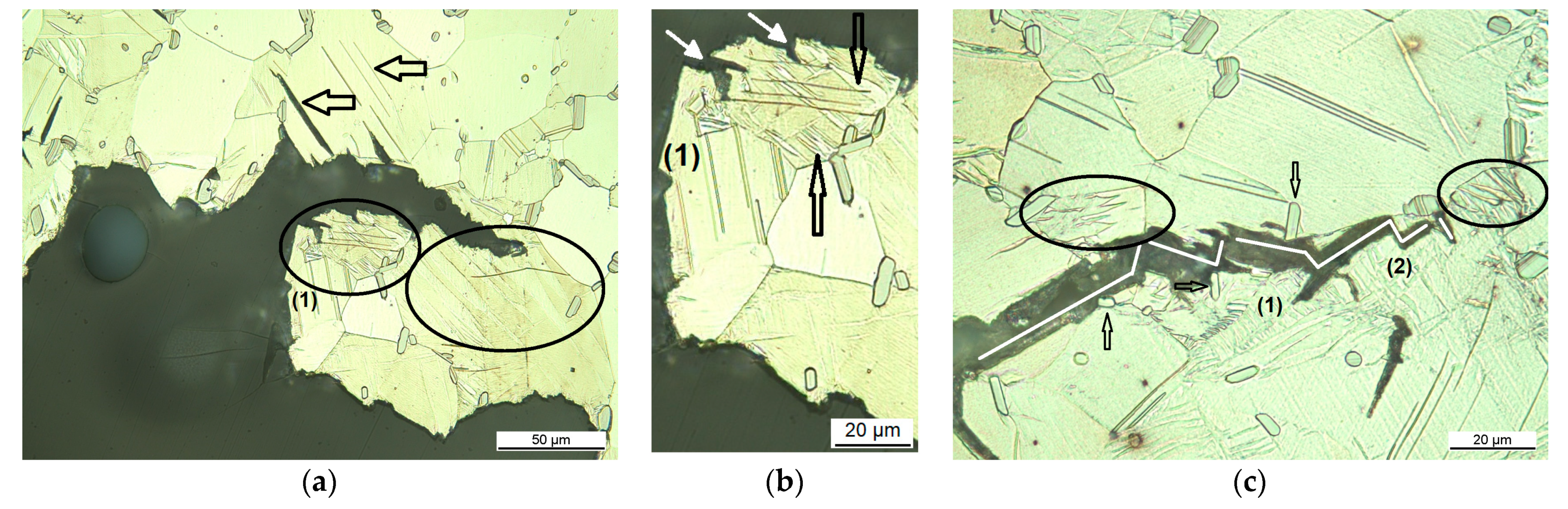 Materials 14 03686 g004