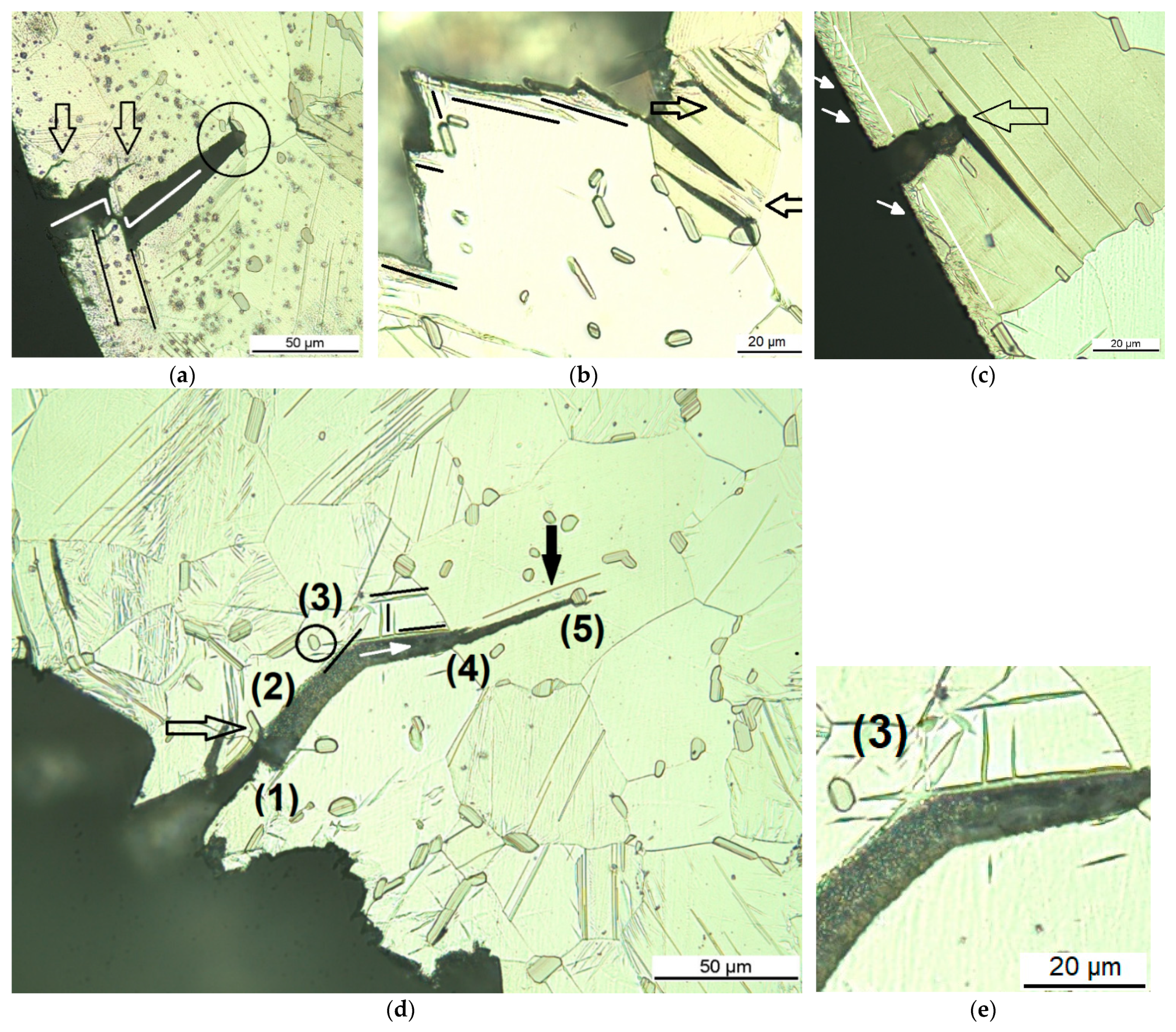 Materials 14 03686 g005