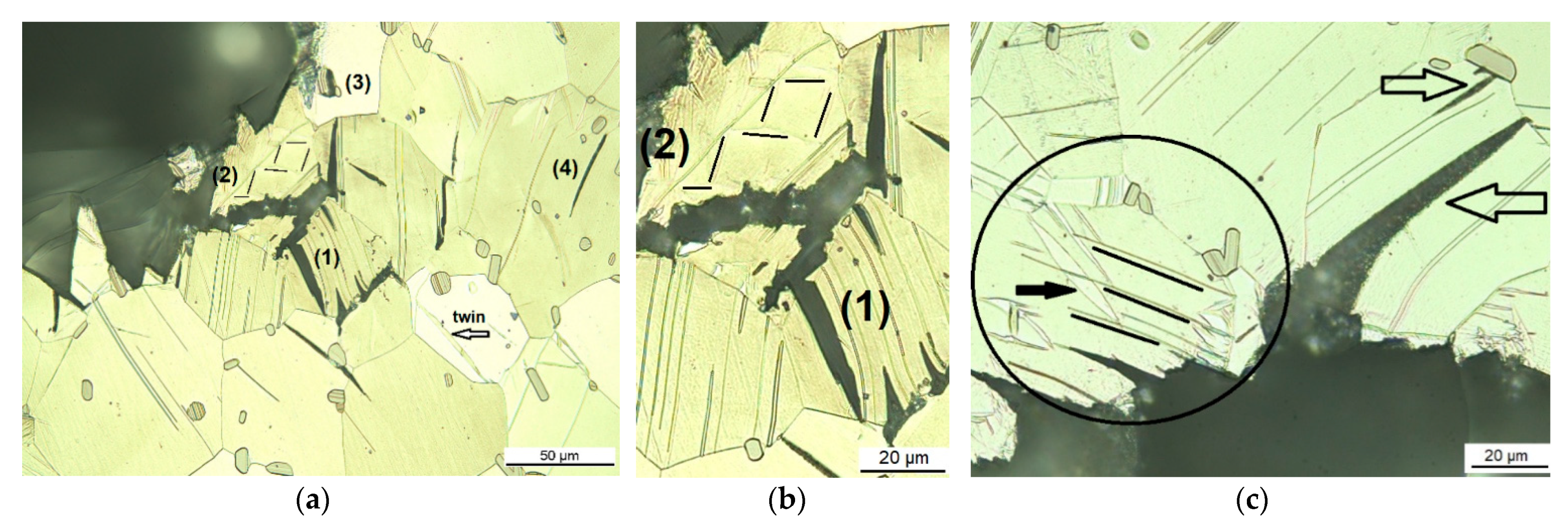 Materials 14 03686 g006
