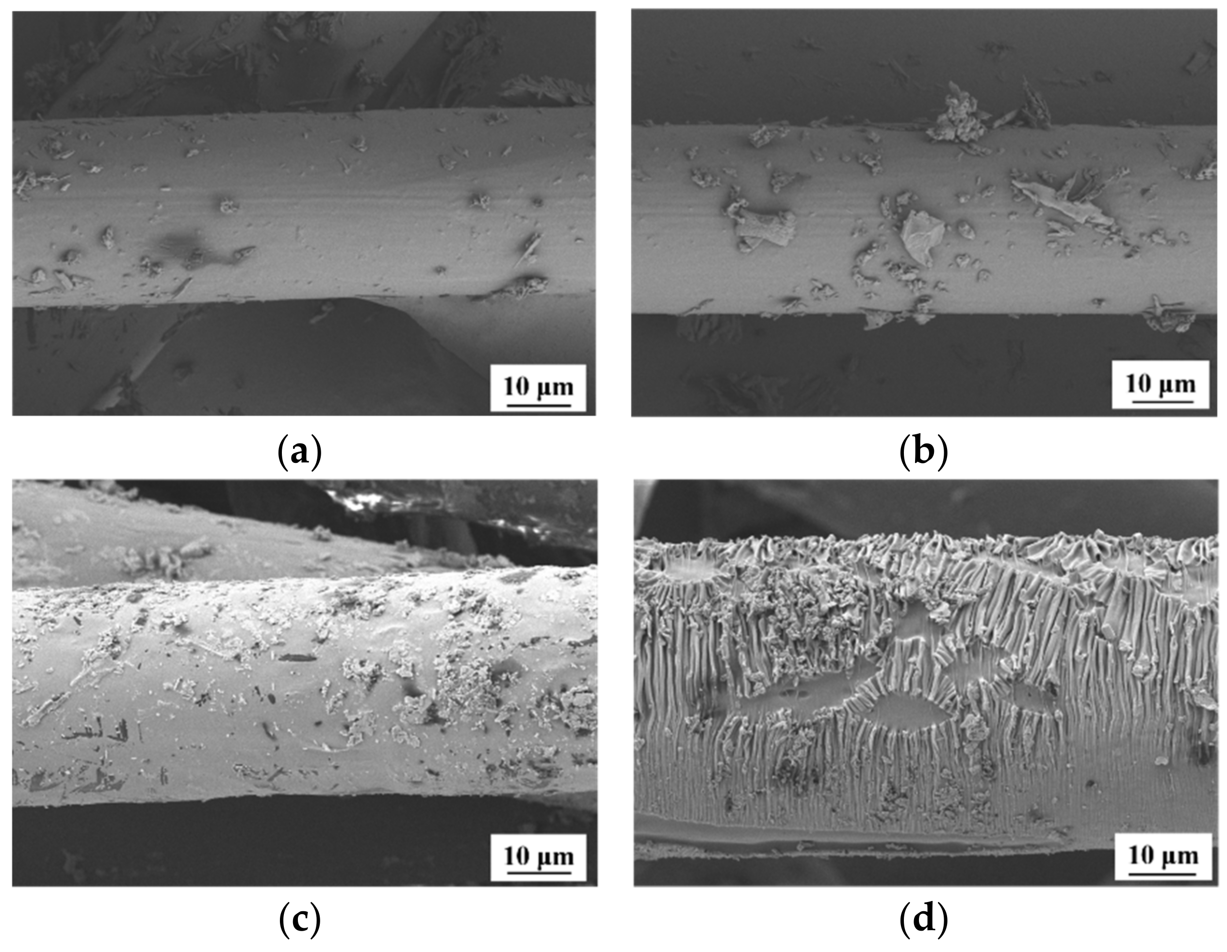 Materials 14 03690 g009