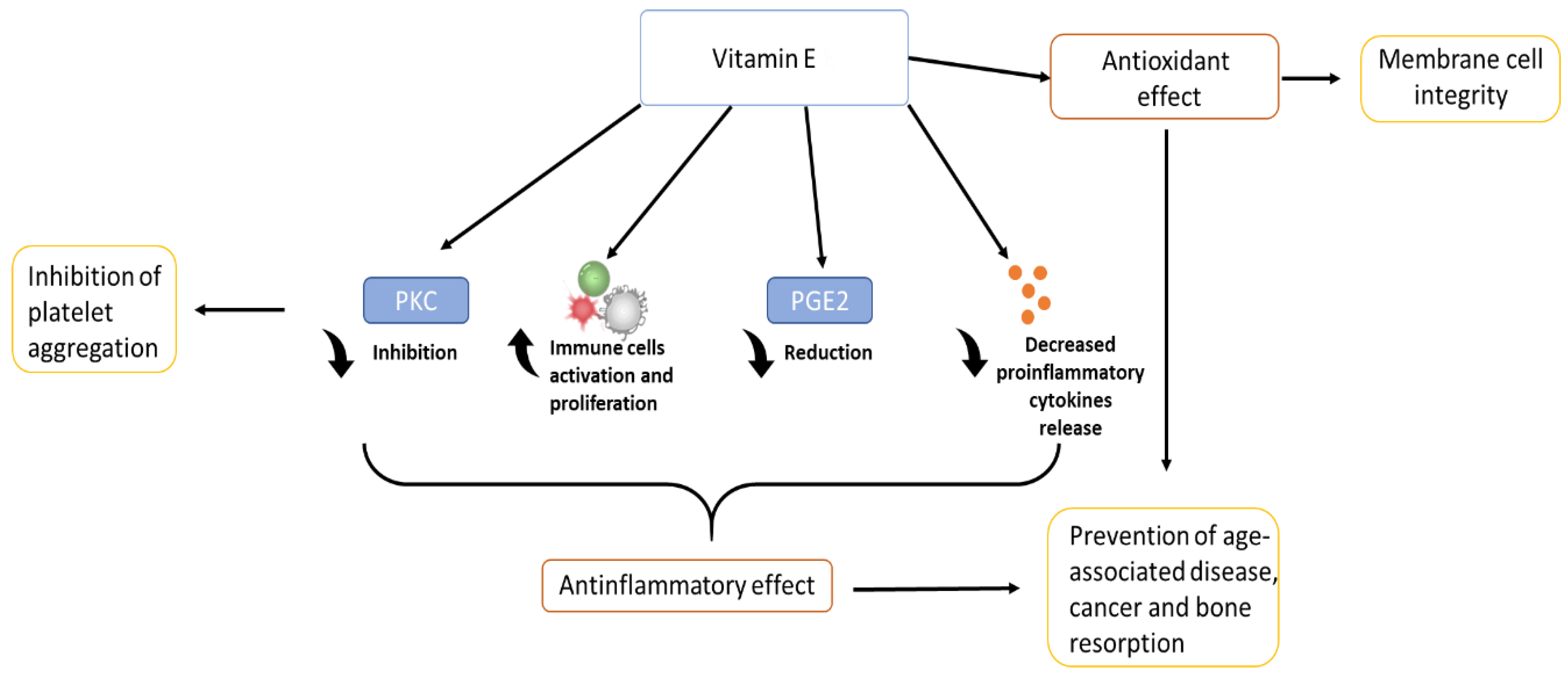 Materials 14 03691 g003